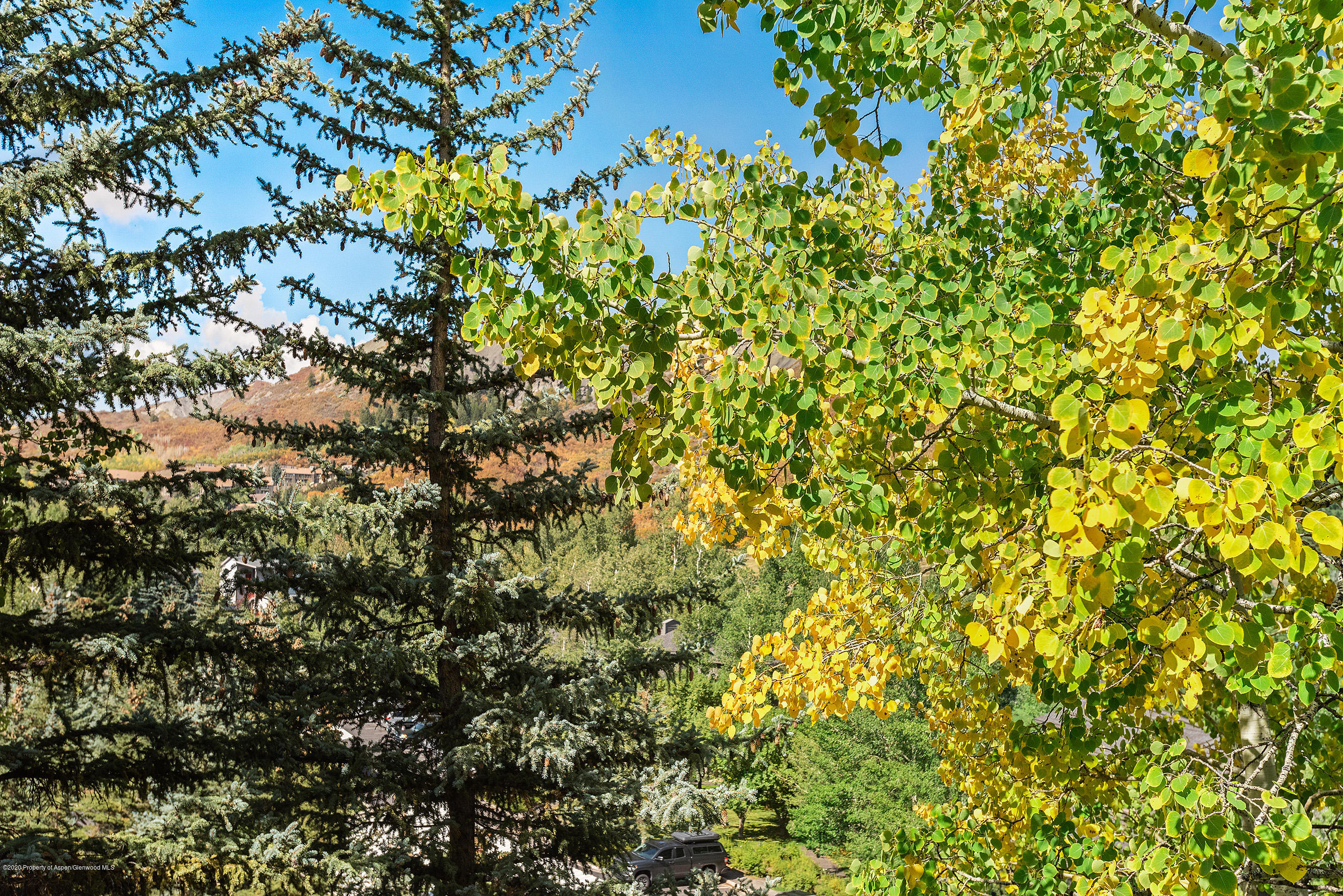 222 Meadow Ranch Snowmass Village CO 81615