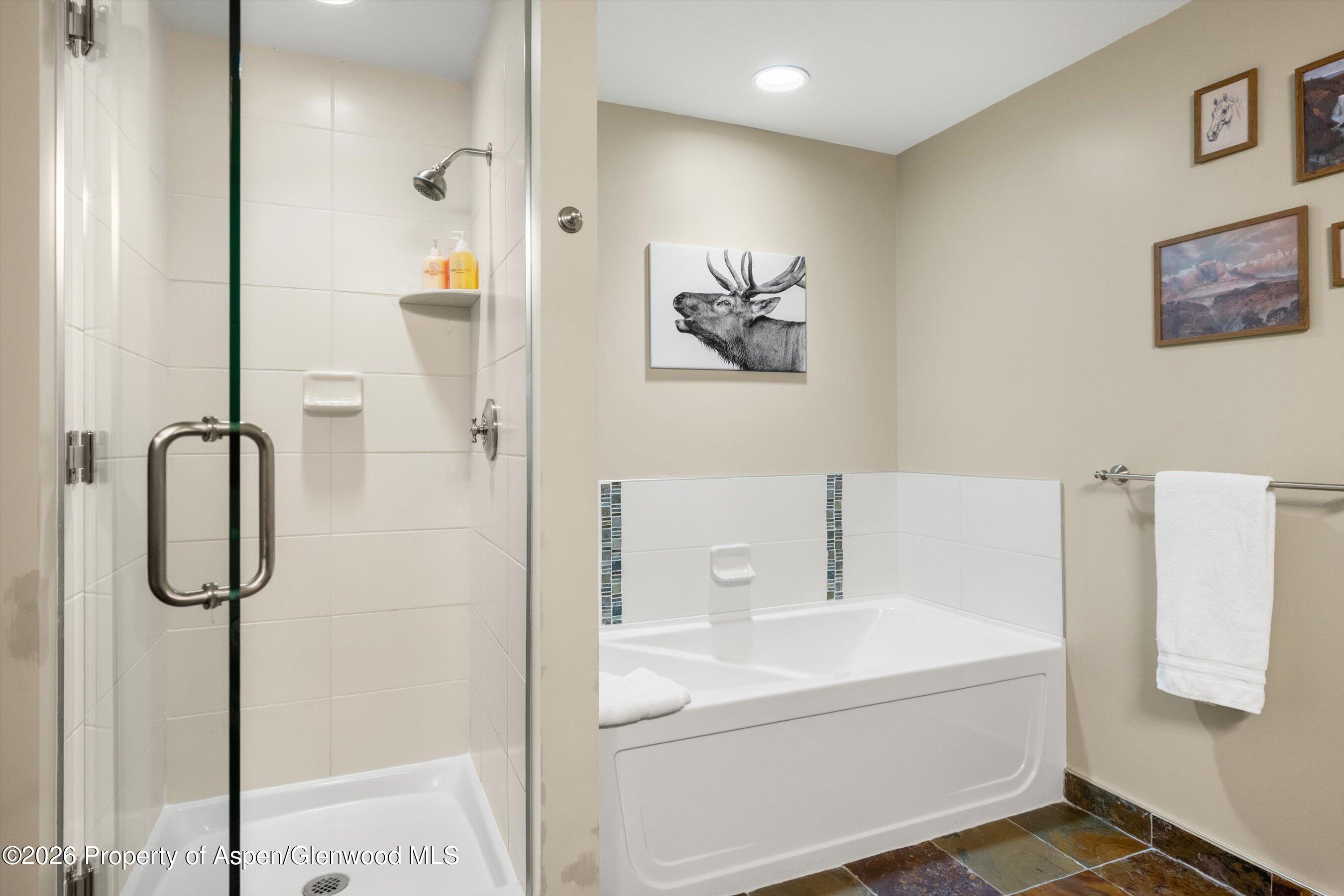 60 Carriage Way Snowmass Village CO 81615