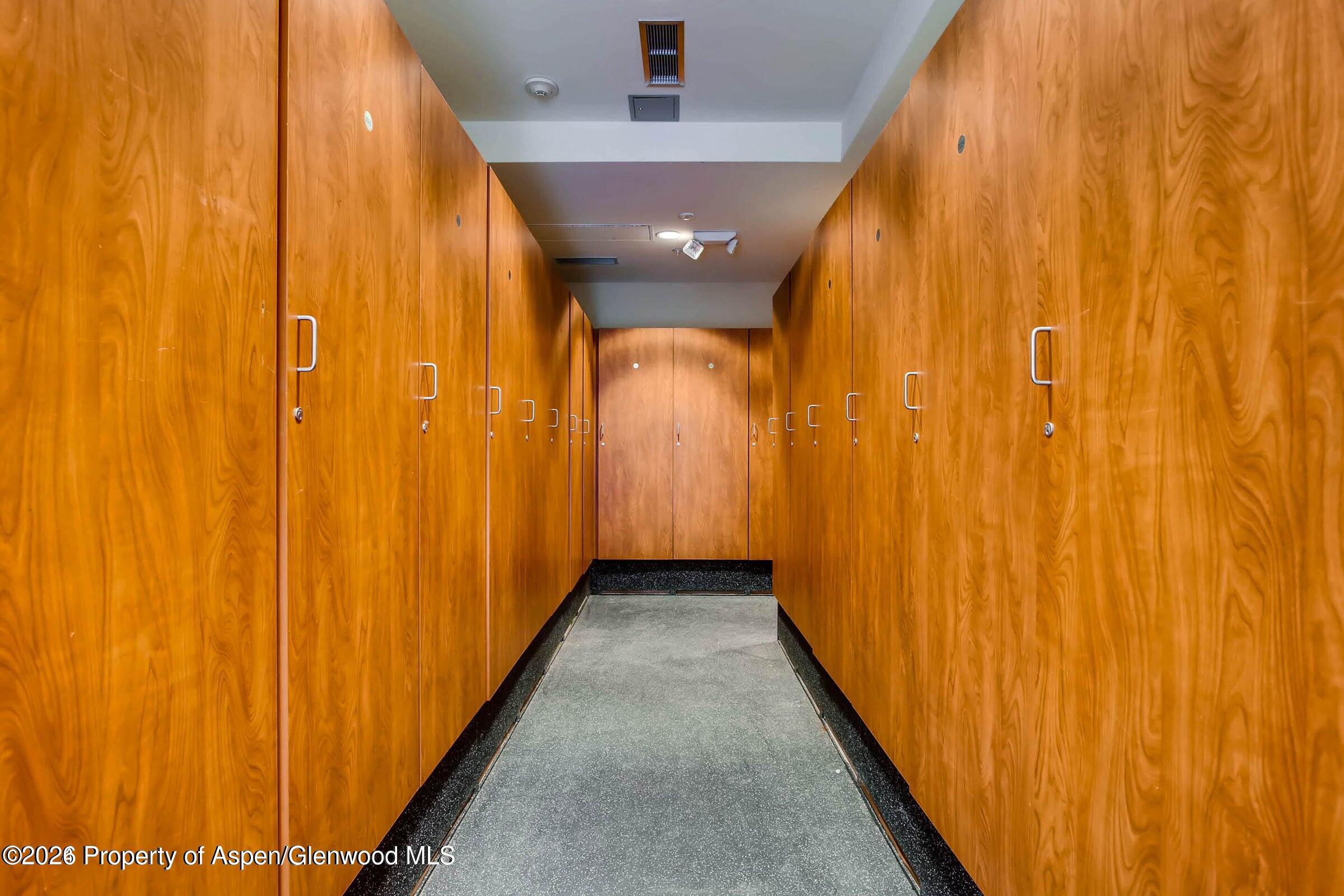 60 Carriage Way Snowmass Village CO 81615