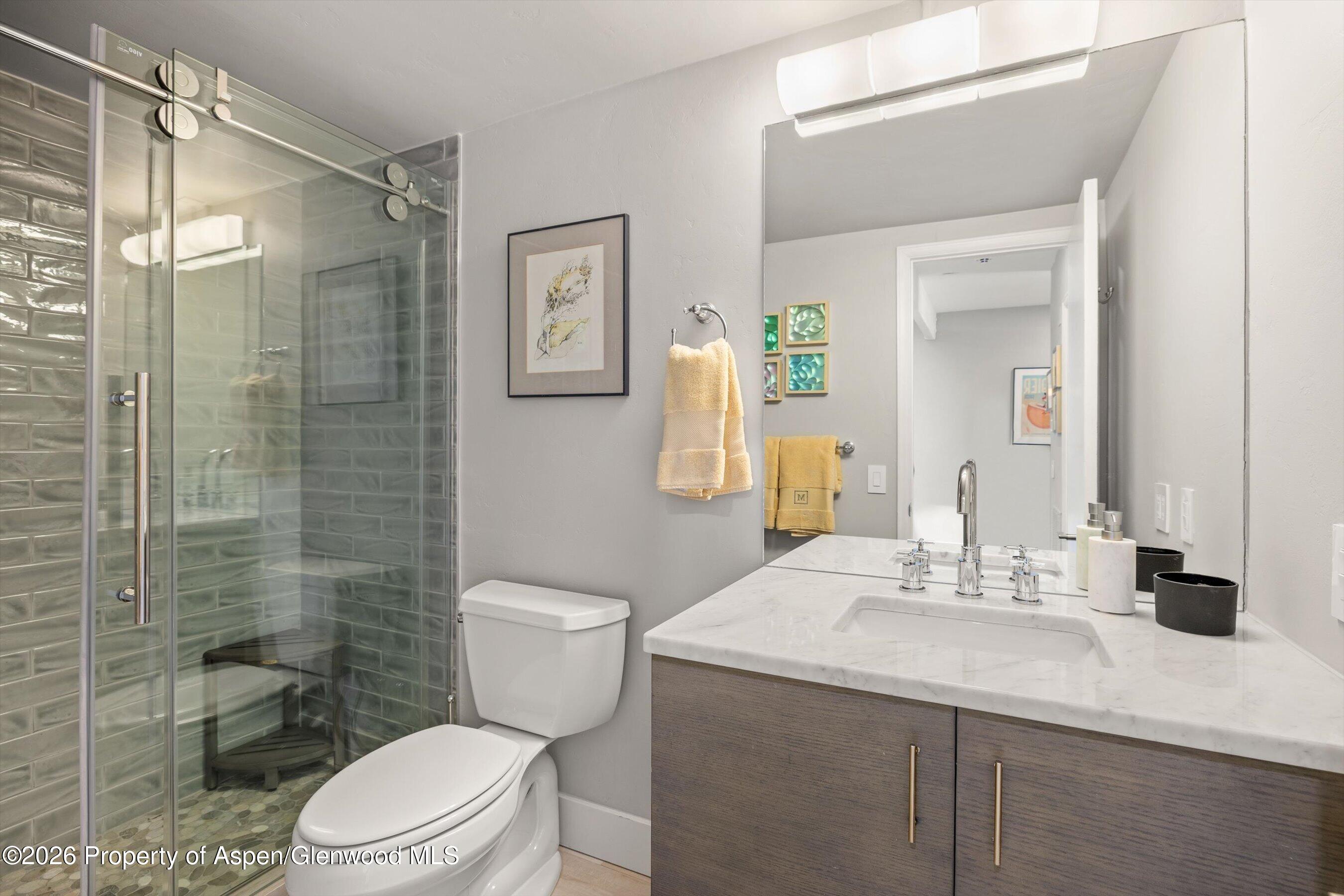 625 S West End Street Aspen CO 81611
