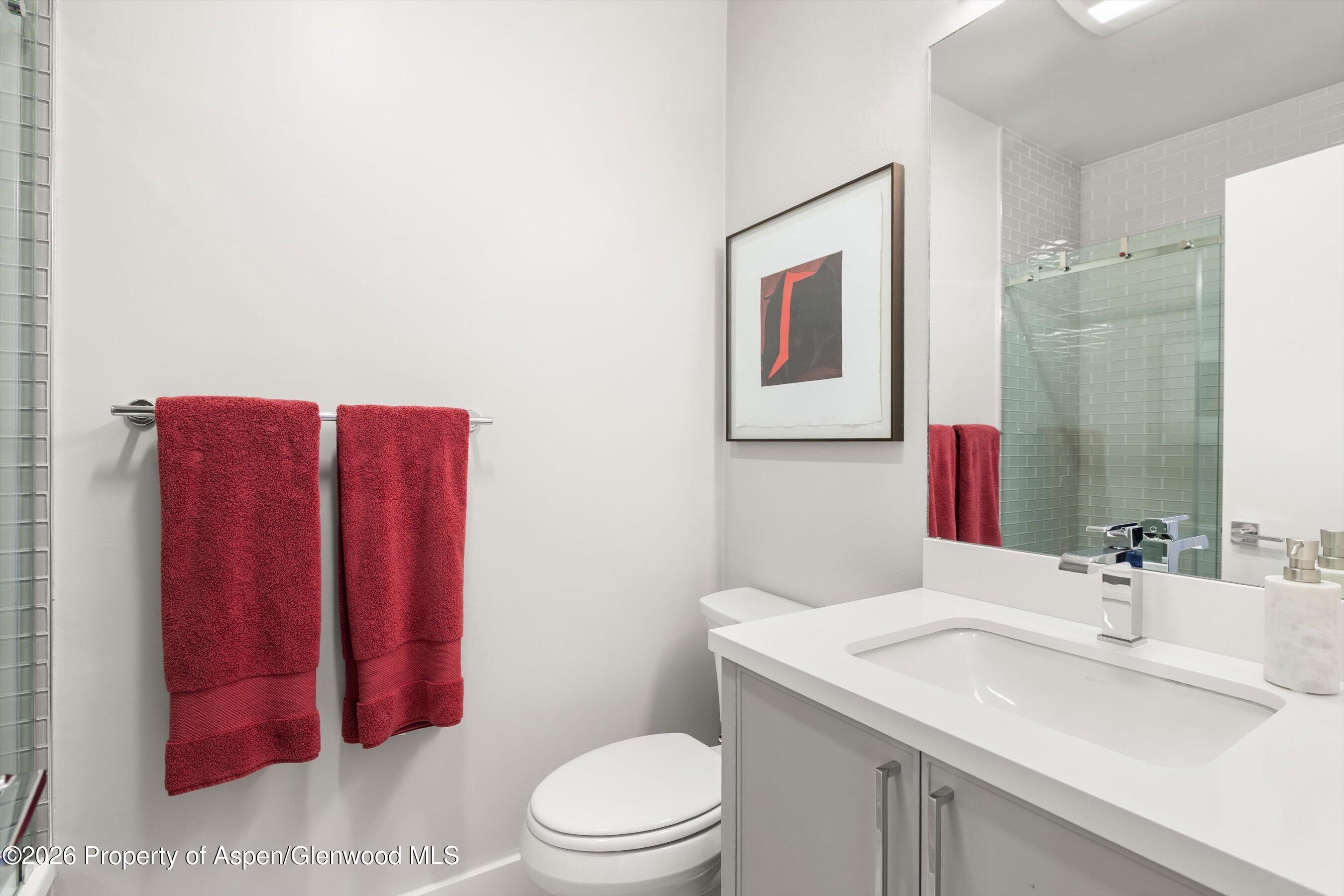 625 S West End Street Aspen CO 81611