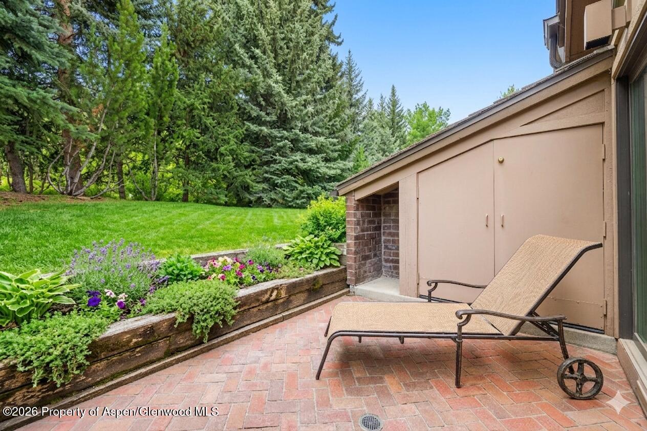 625 S West End Street Aspen CO 81611