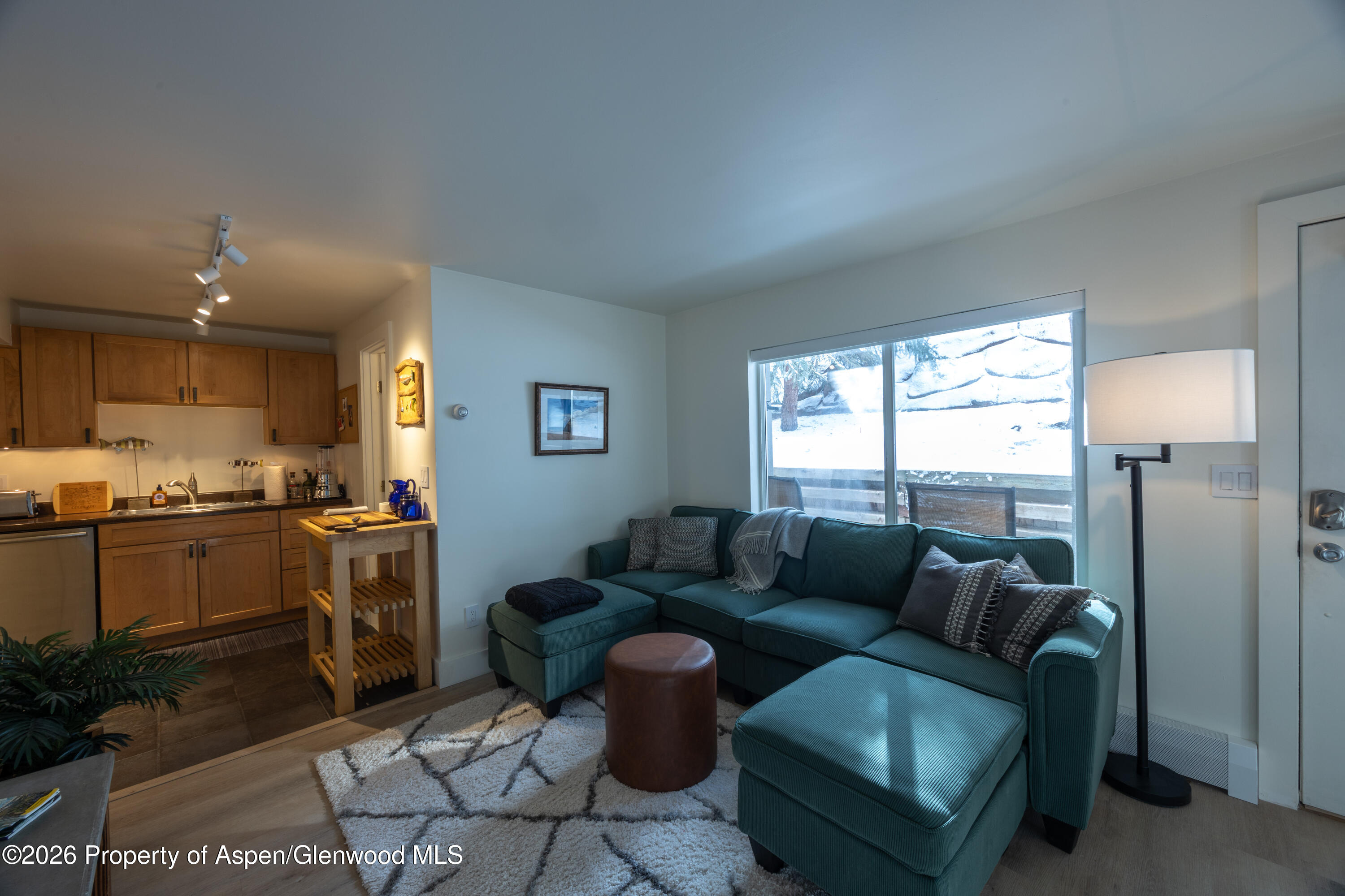 304 Waterview Drive Snowmass CO 81654