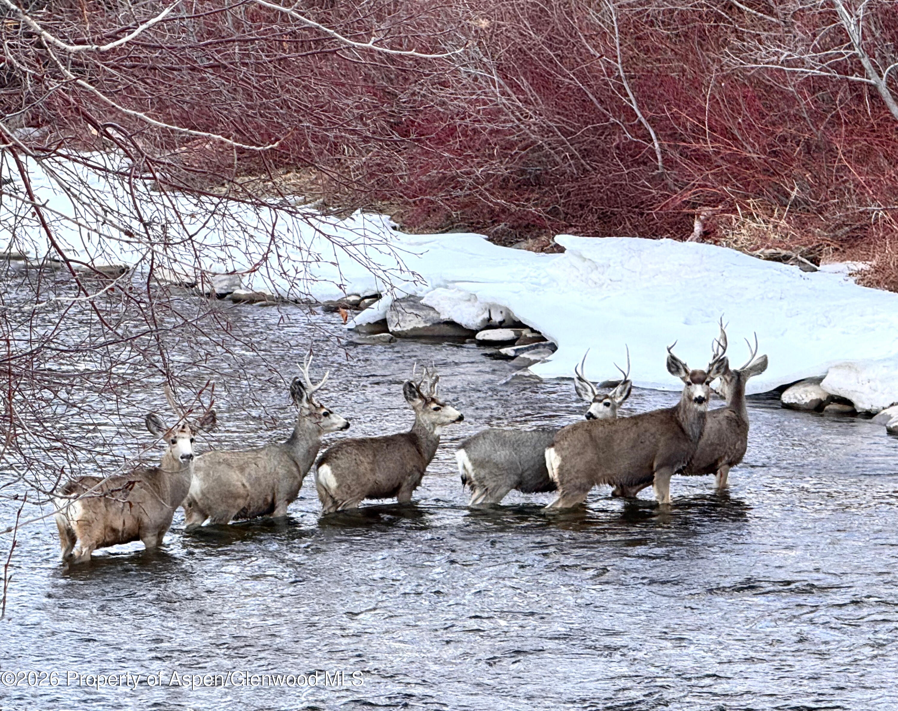 304 Waterview Drive Snowmass CO 81654