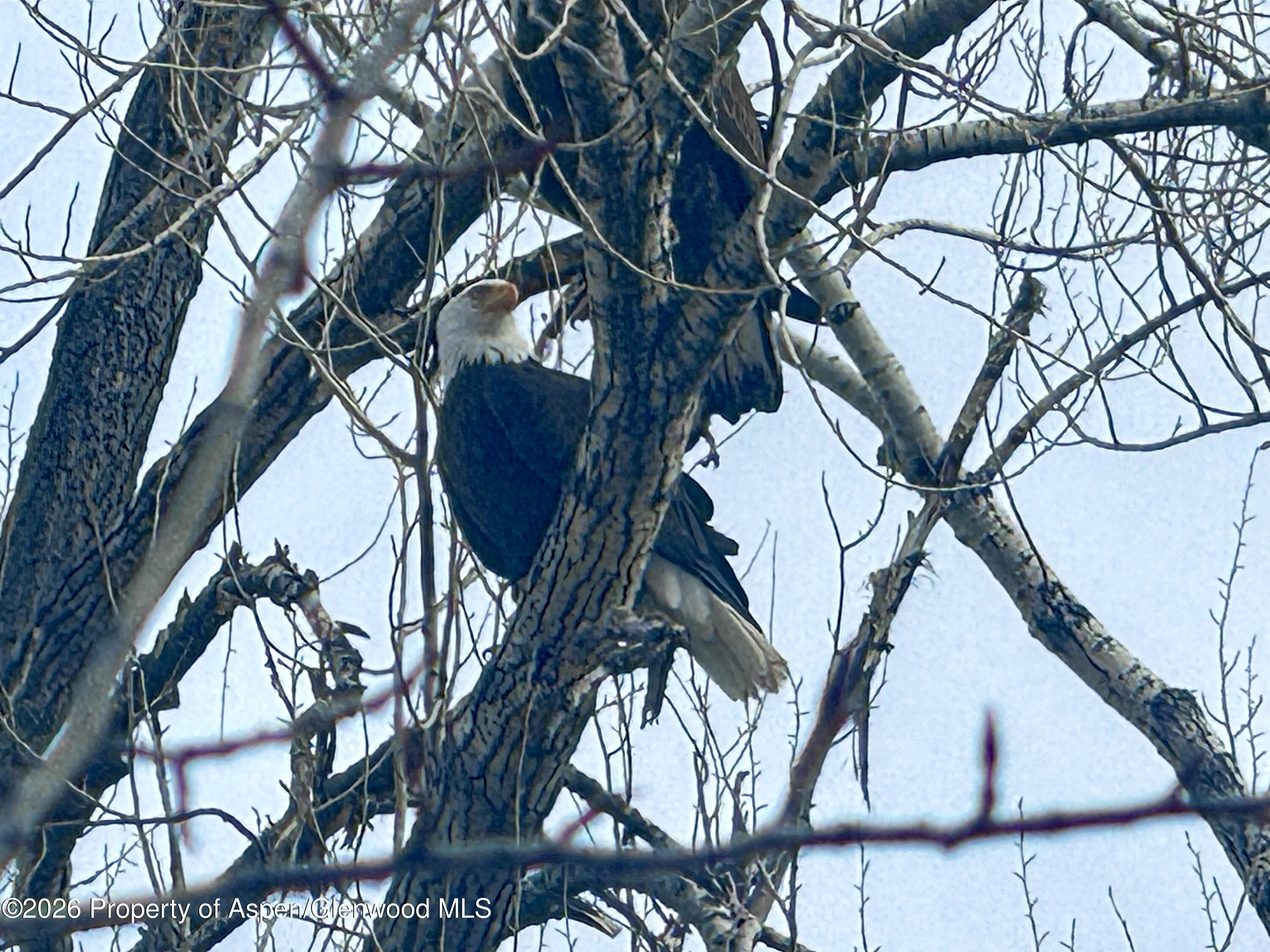 304 Waterview Drive Snowmass CO 81654