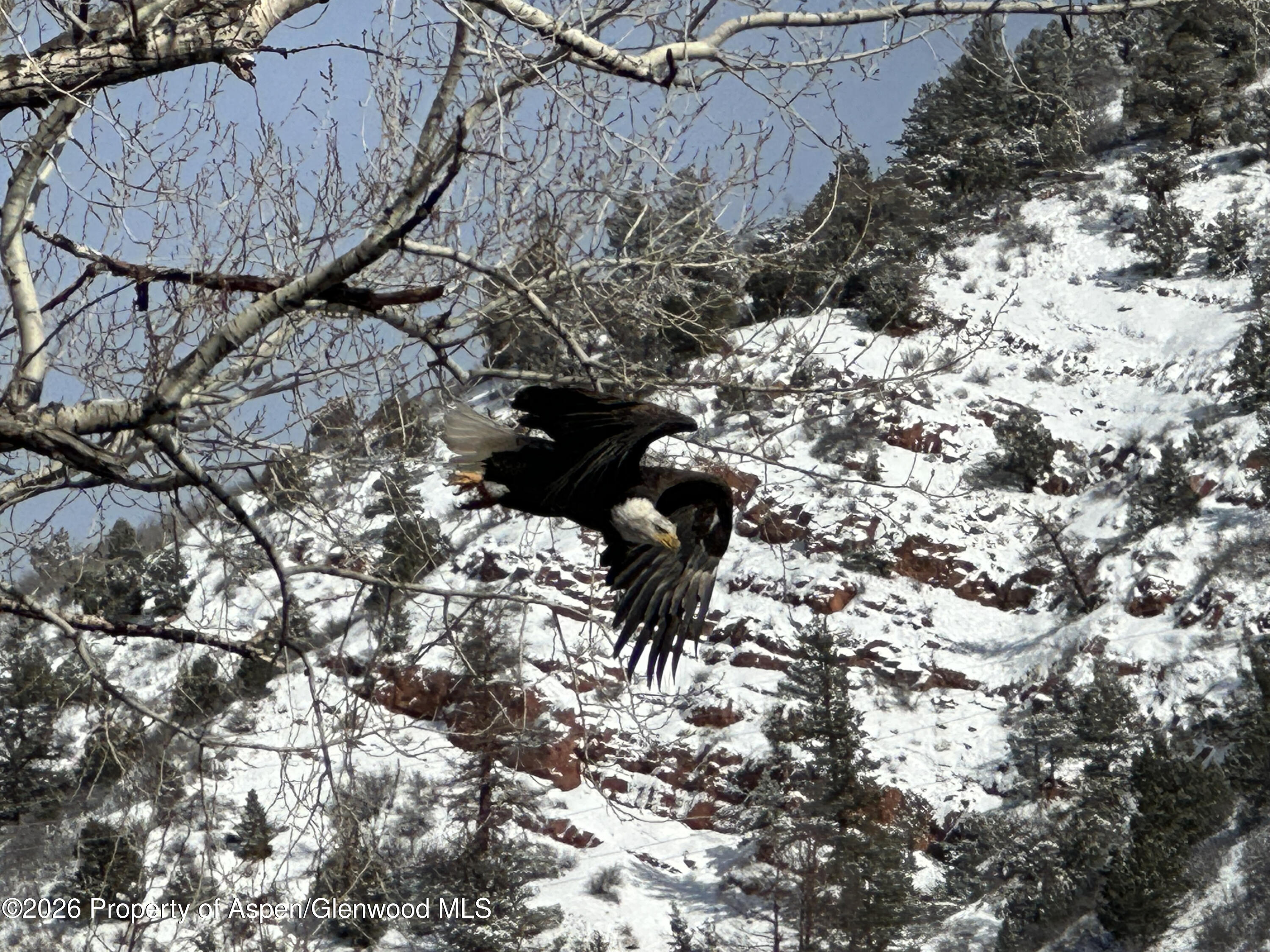 304 Waterview Drive Snowmass CO 81654