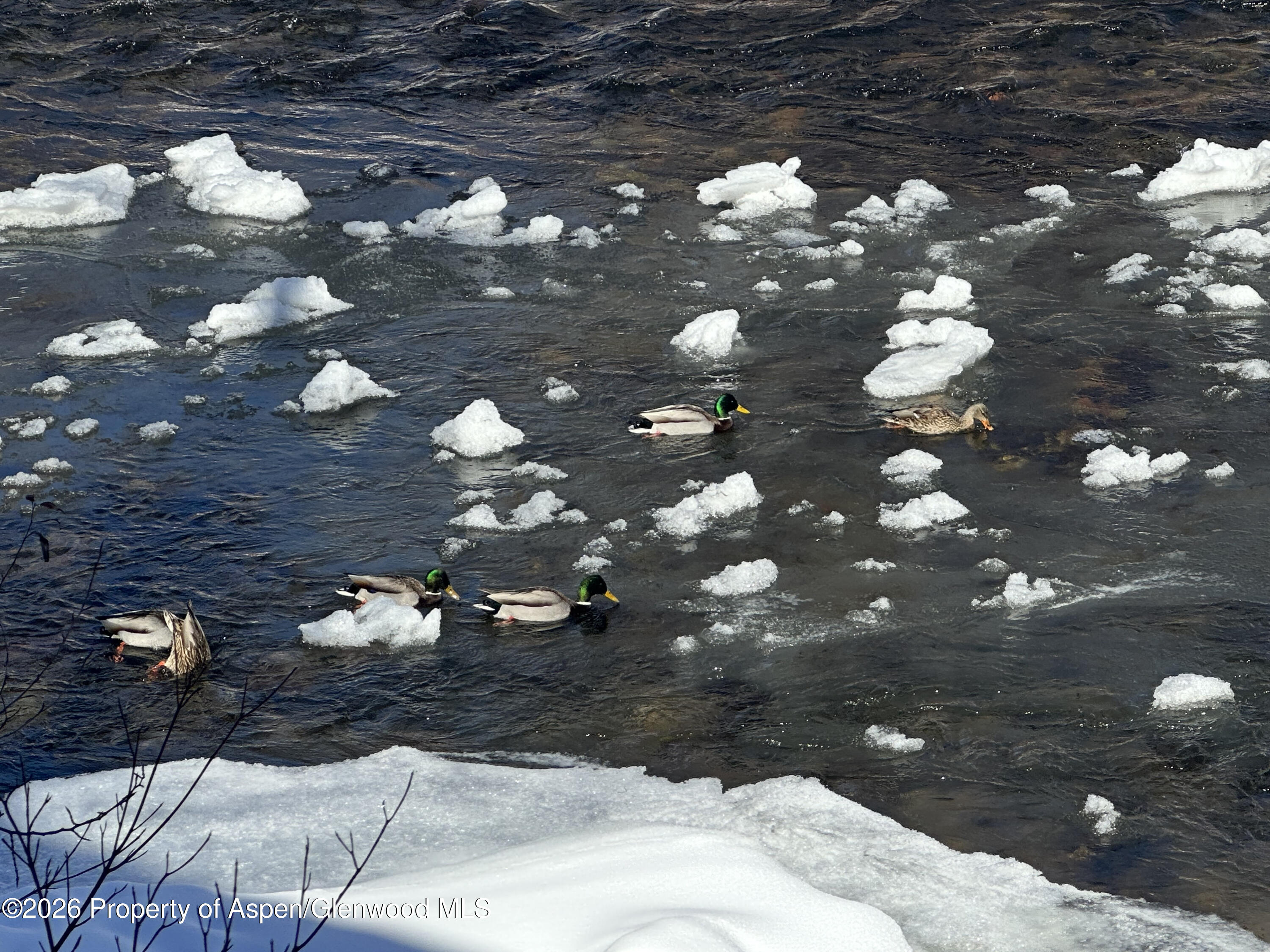 304 Waterview Drive Snowmass CO 81654