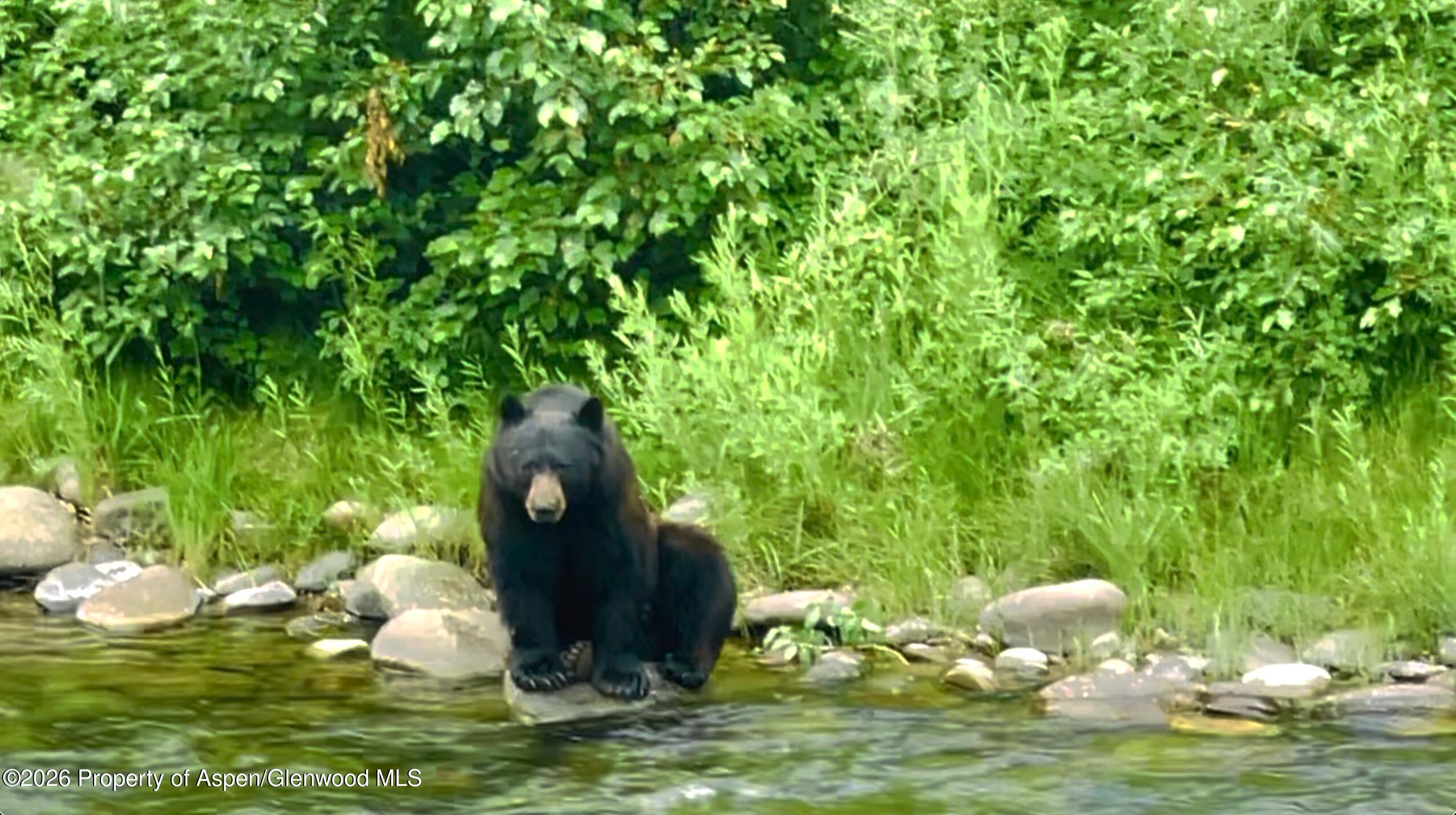 304 Waterview Drive Snowmass CO 81654