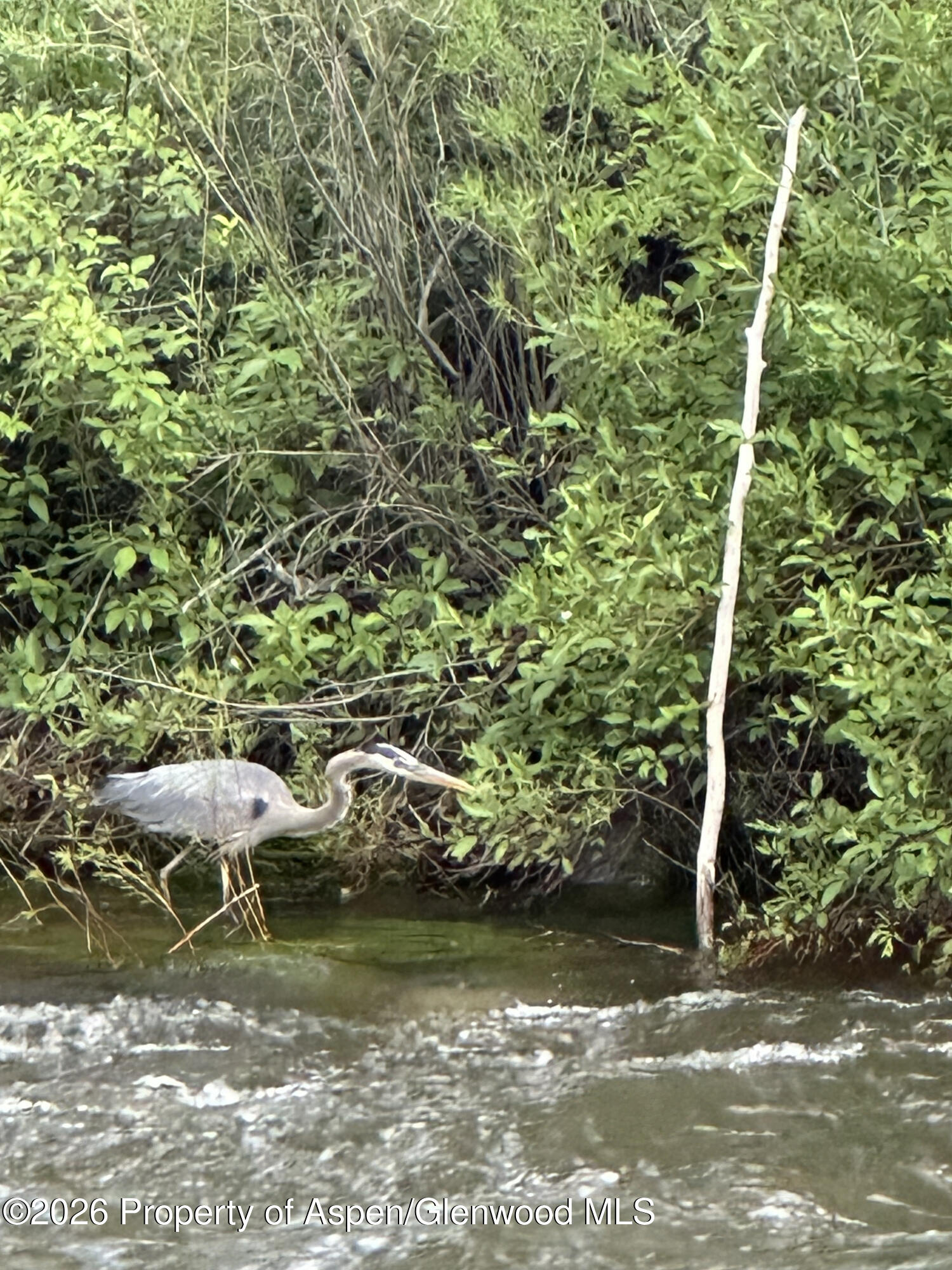 304 Waterview Drive Snowmass CO 81654