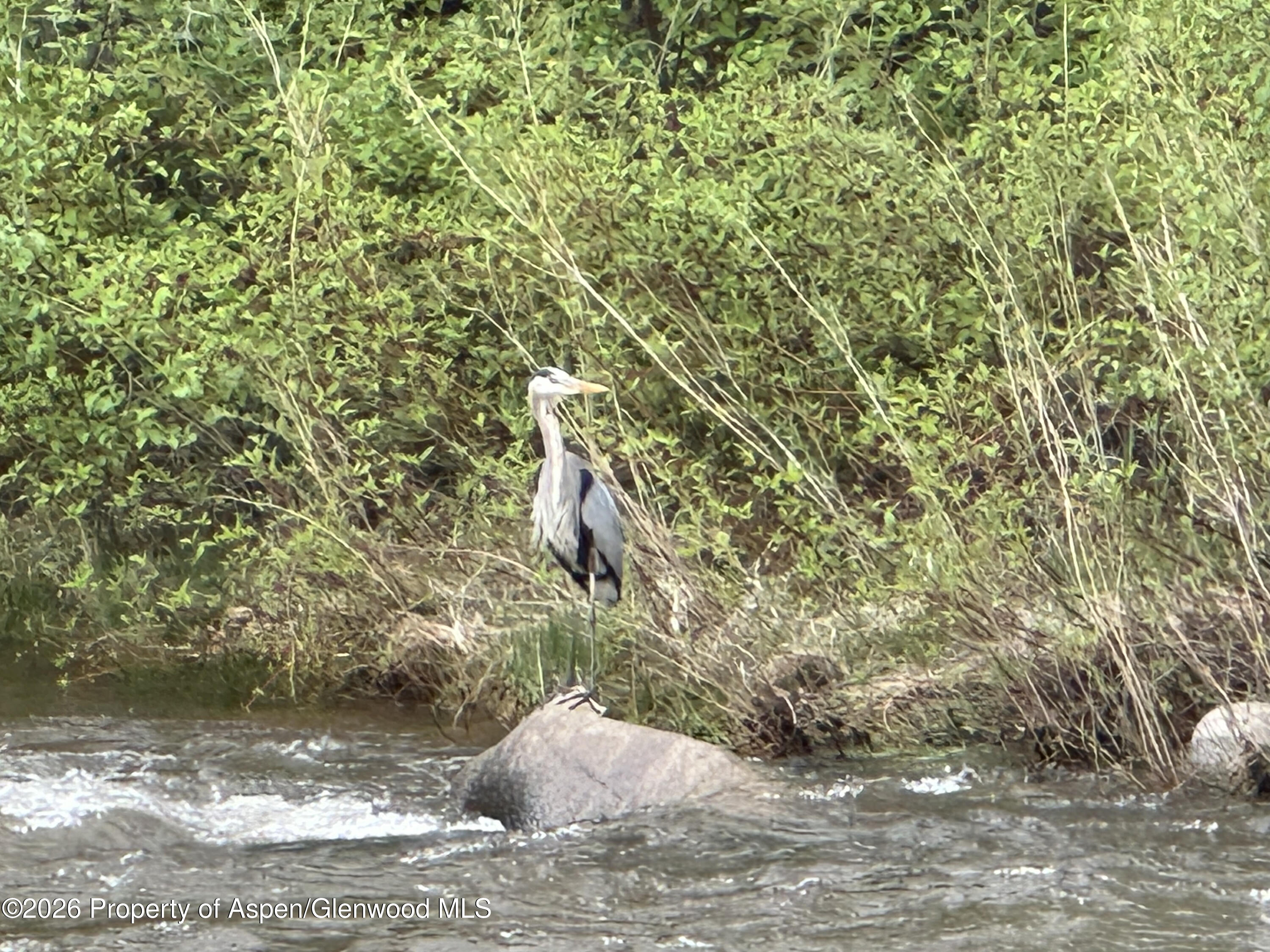 304 Waterview Drive Snowmass CO 81654