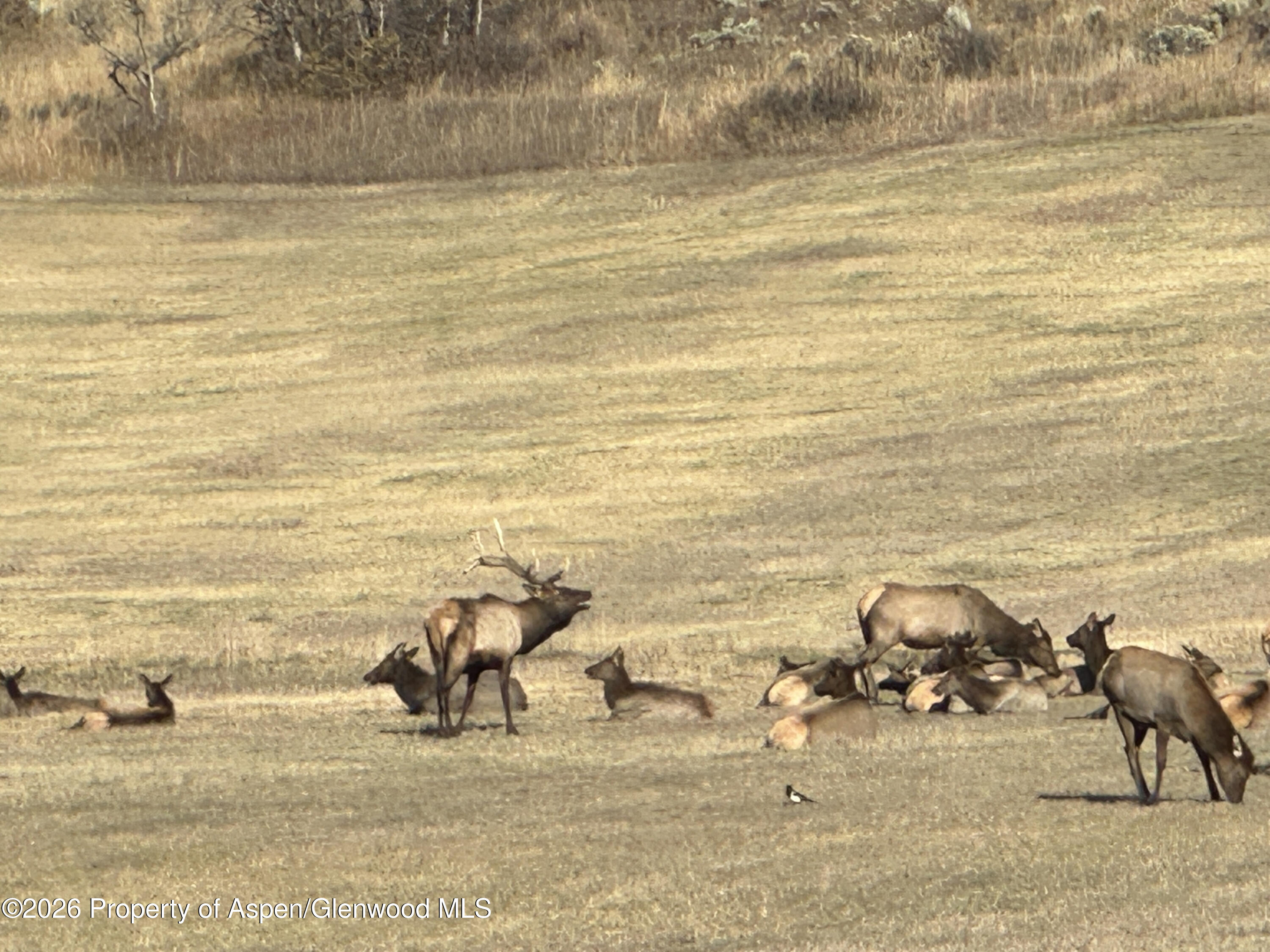 304 Waterview Drive Snowmass CO 81654