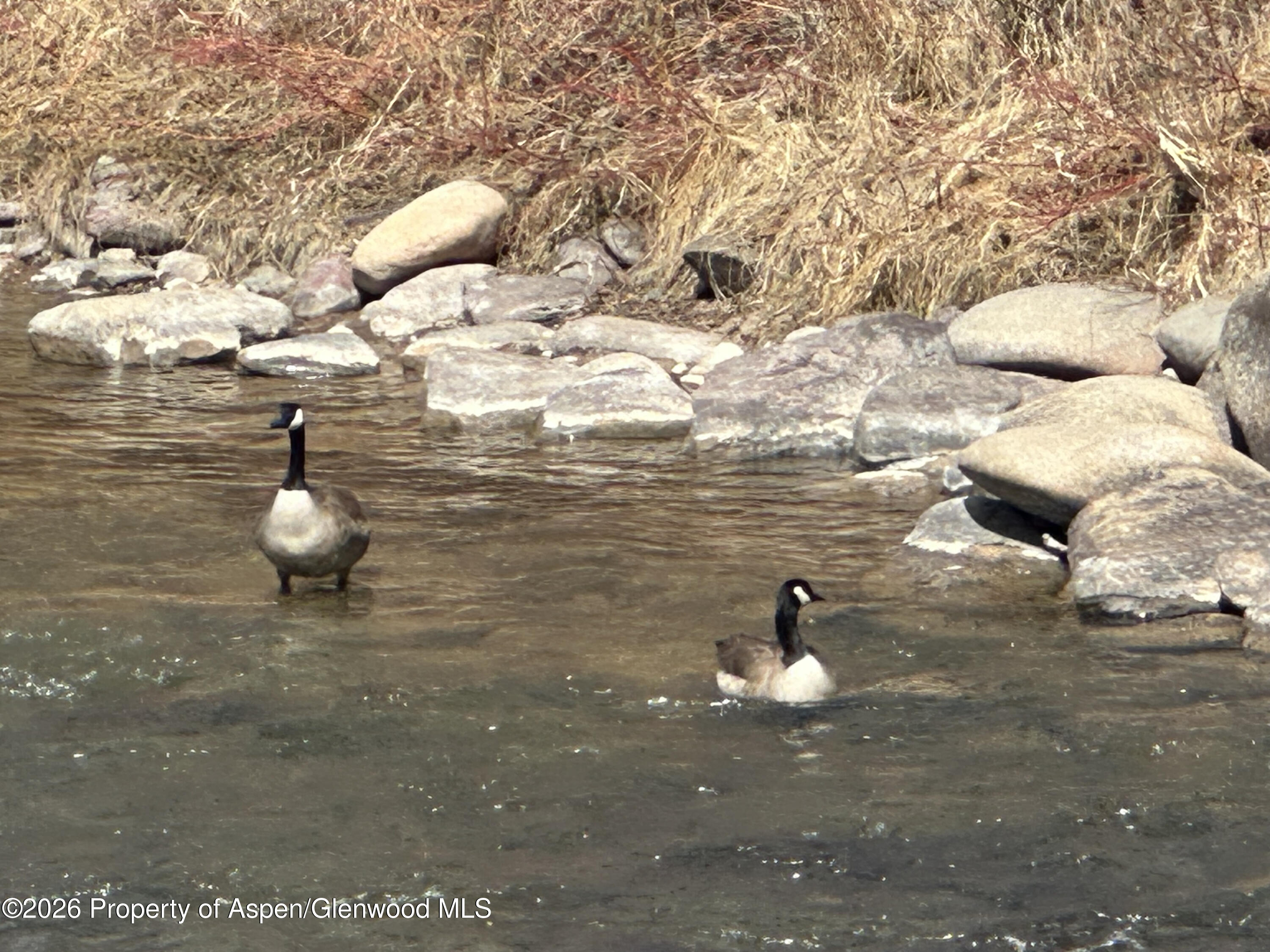 304 Waterview Drive Snowmass CO 81654