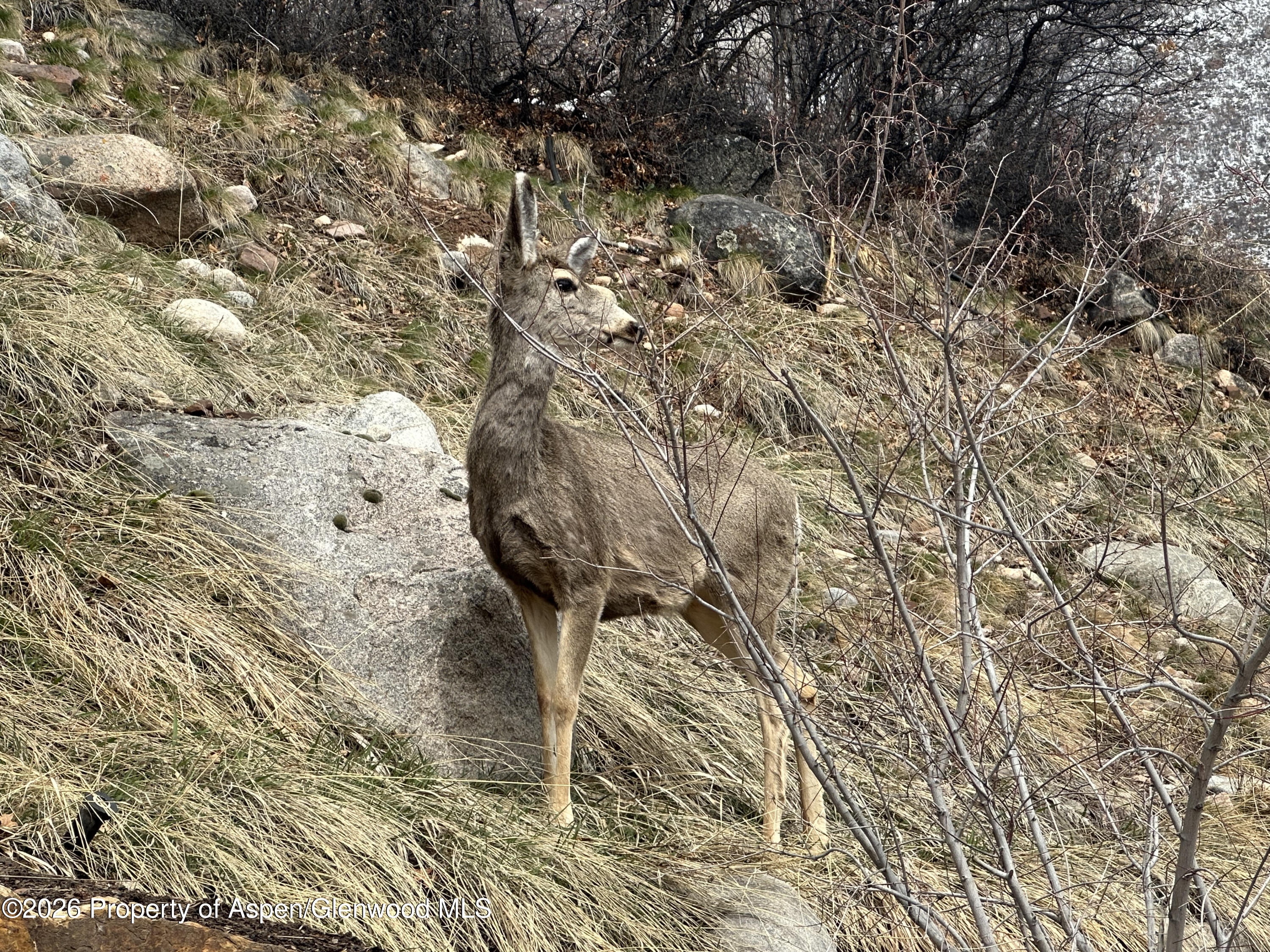 304 Waterview Drive Snowmass CO 81654