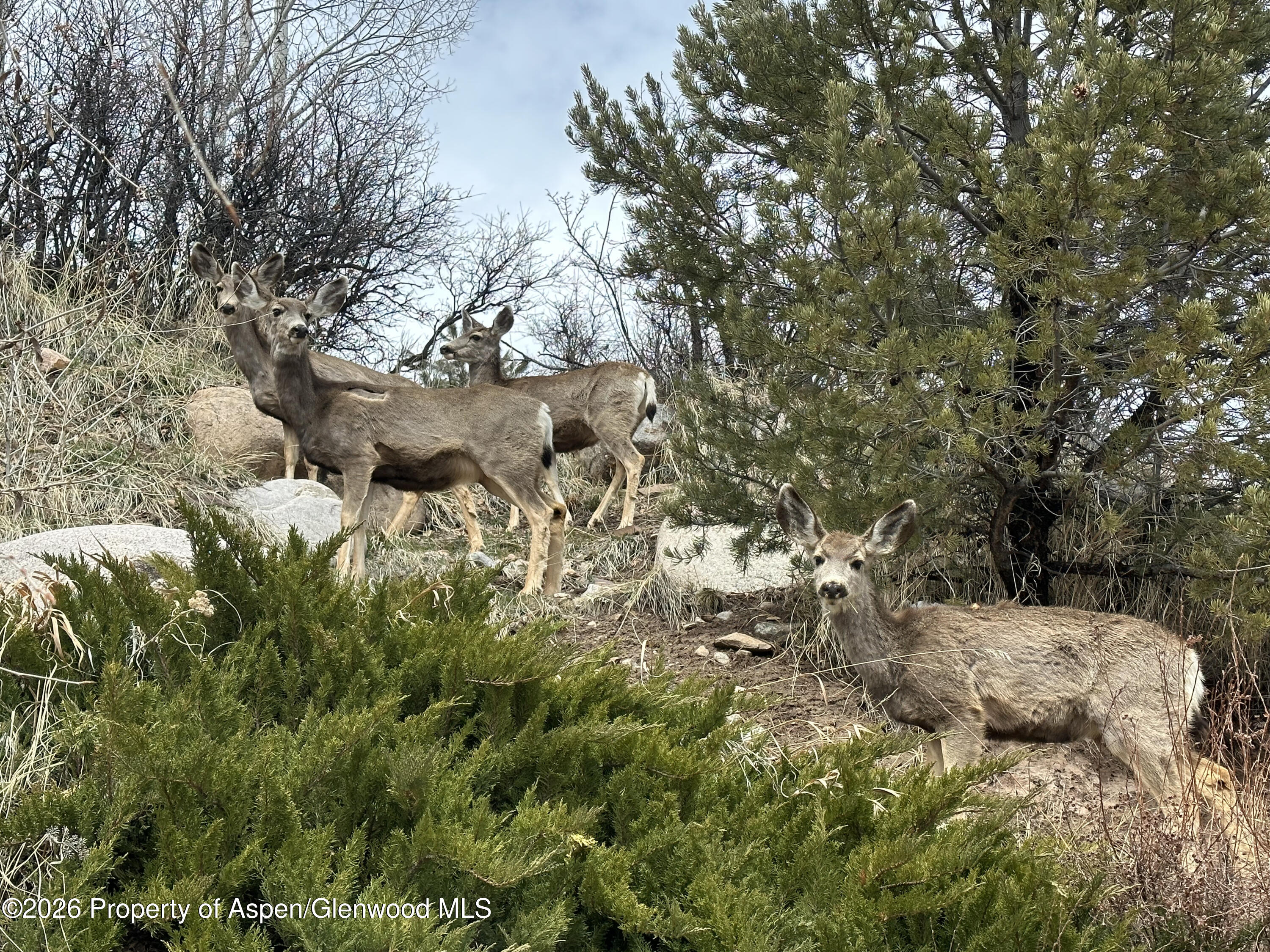 304 Waterview Drive Snowmass CO 81654