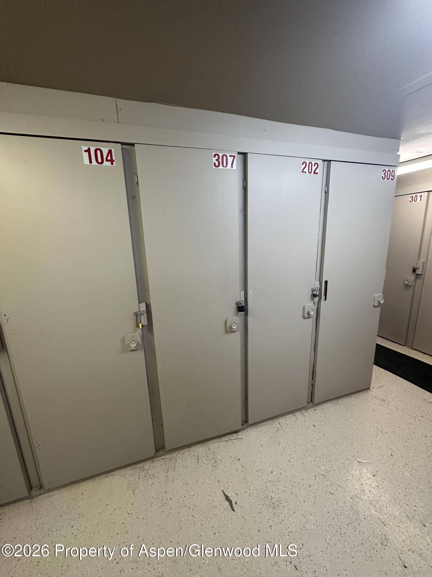 304 Waterview Drive Snowmass CO 81654