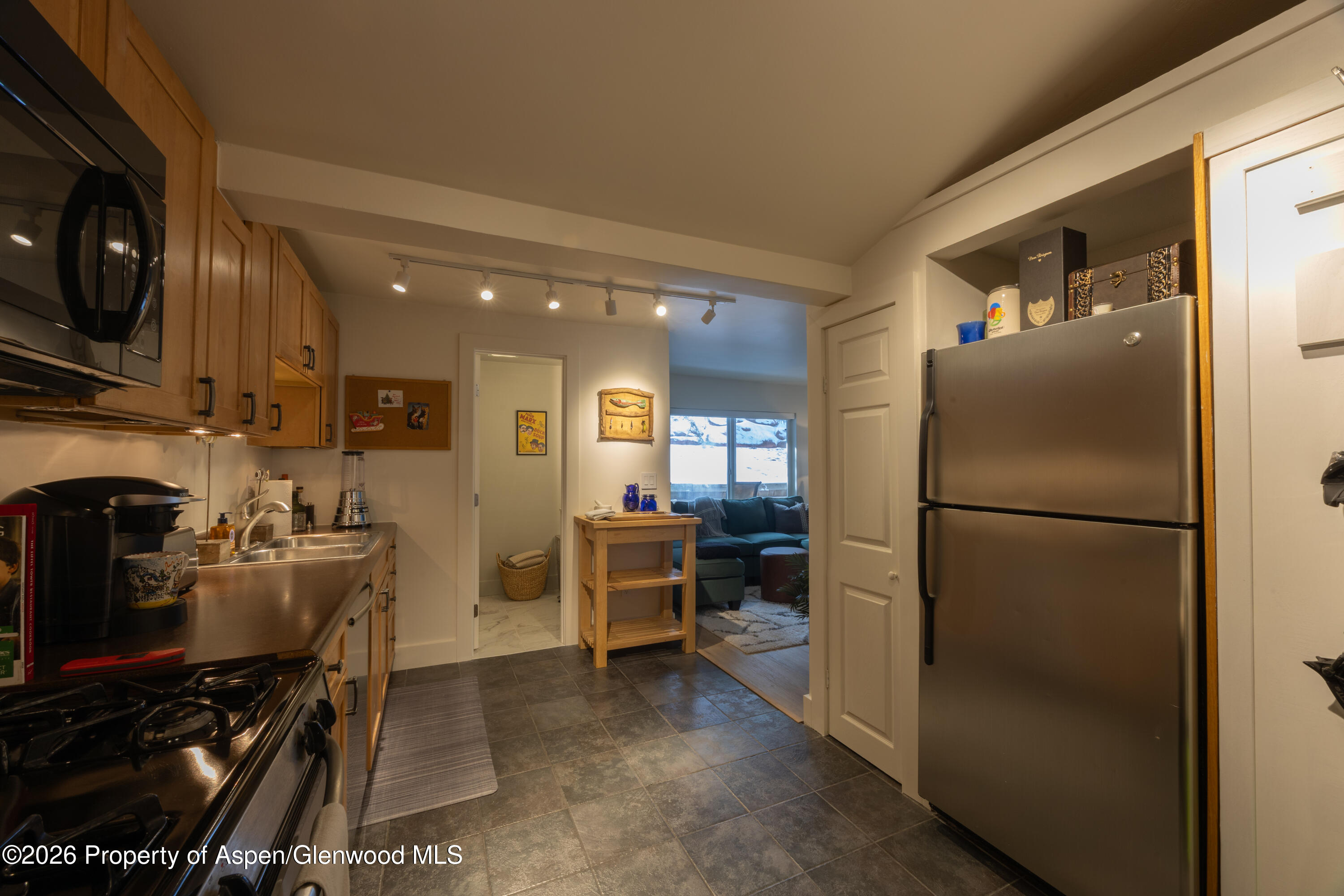 304 Waterview Drive Snowmass CO 81654