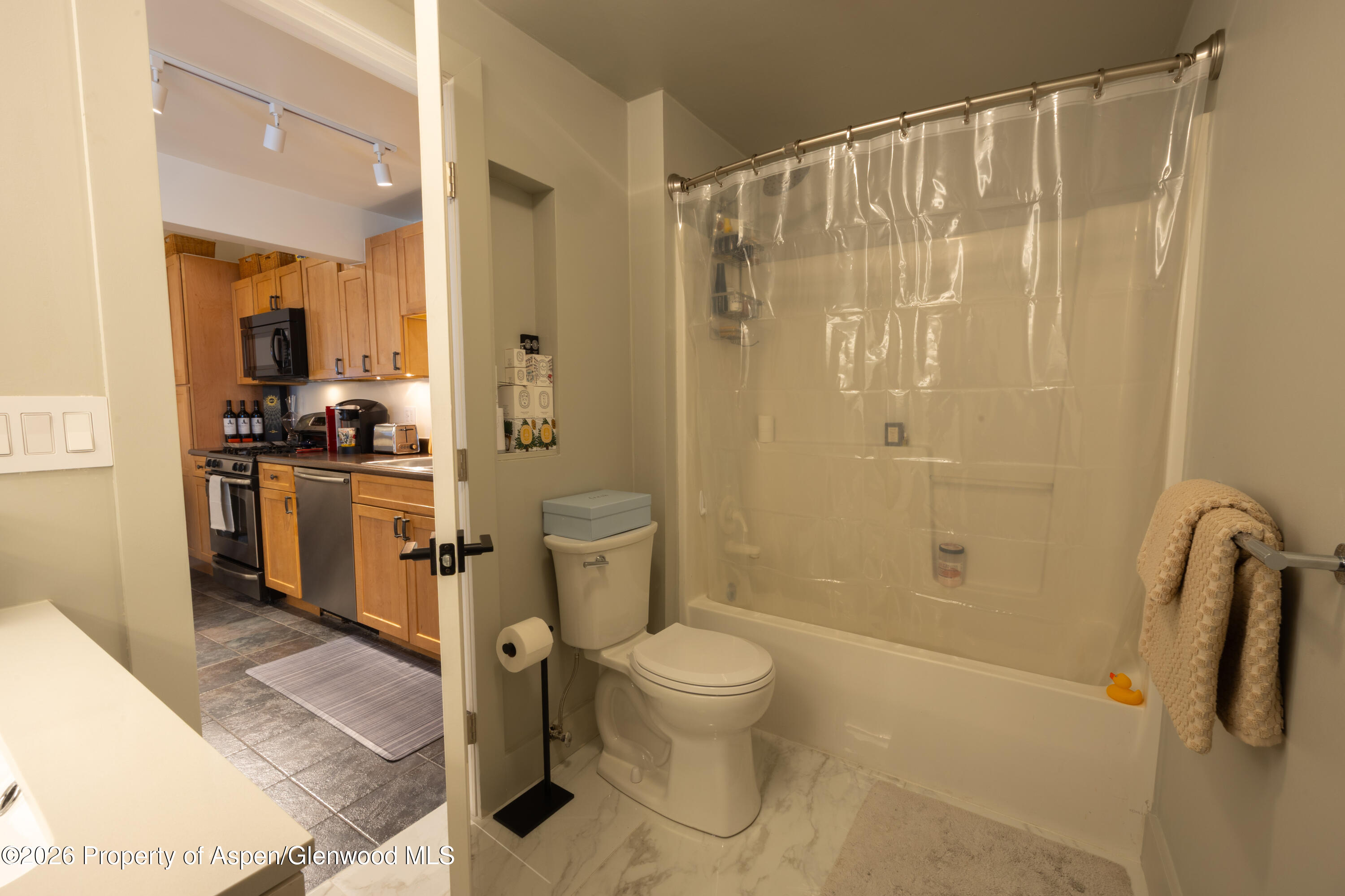 304 Waterview Drive Snowmass CO 81654