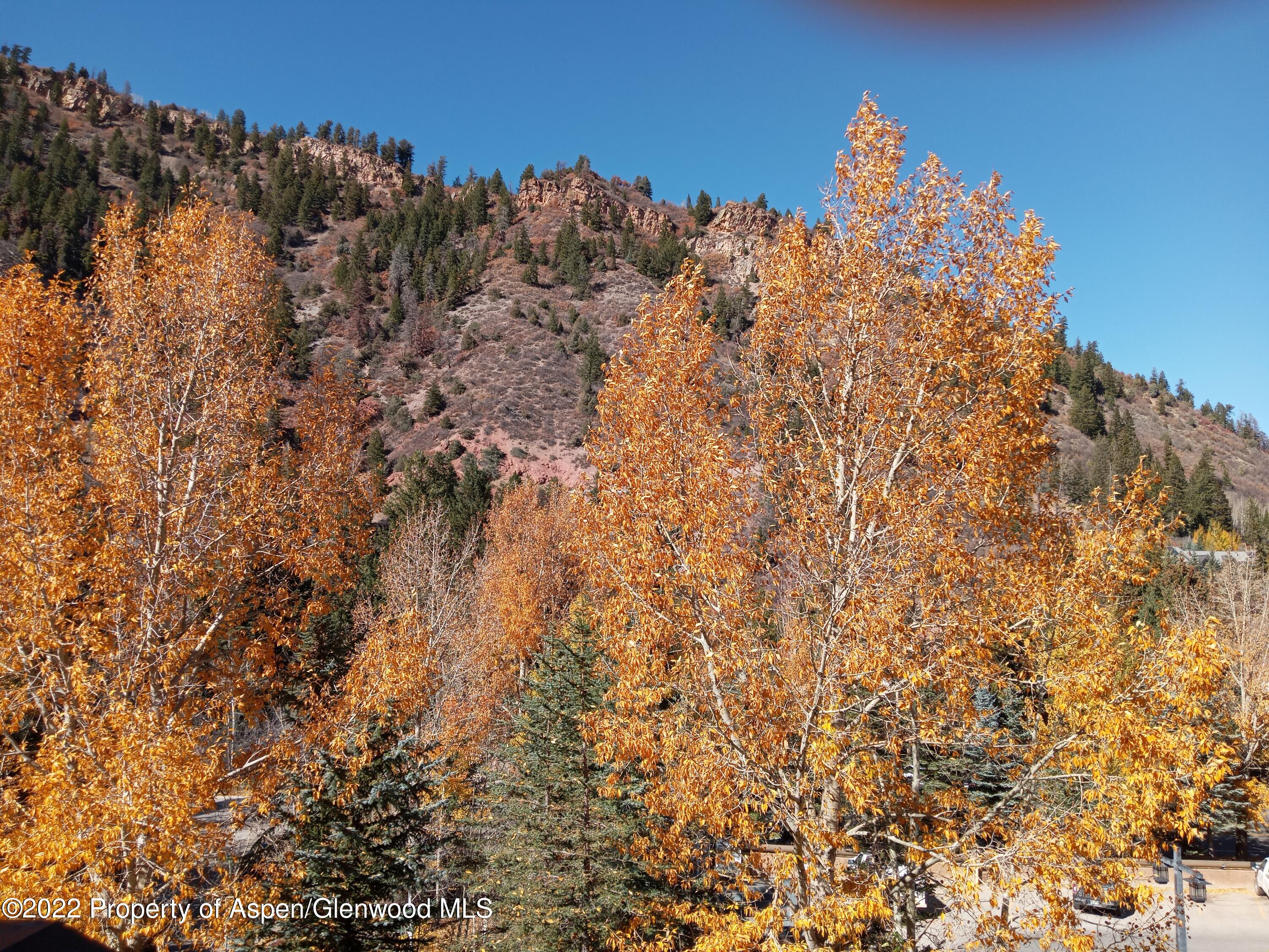 0039 Boomerang Road Aspen CO 81611