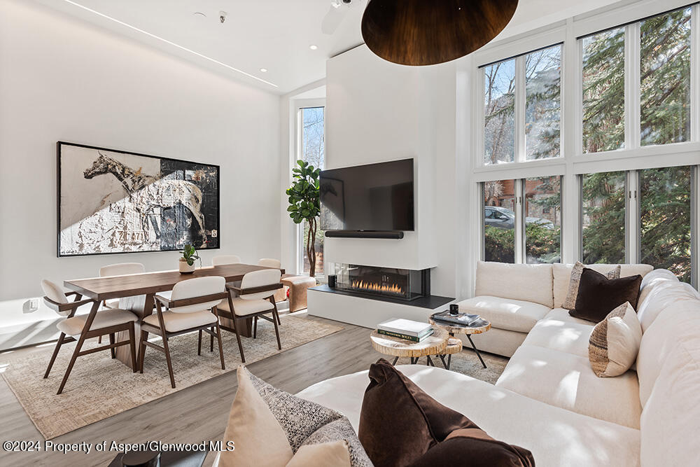 900 E Durant Avenue Aspen CO 81611