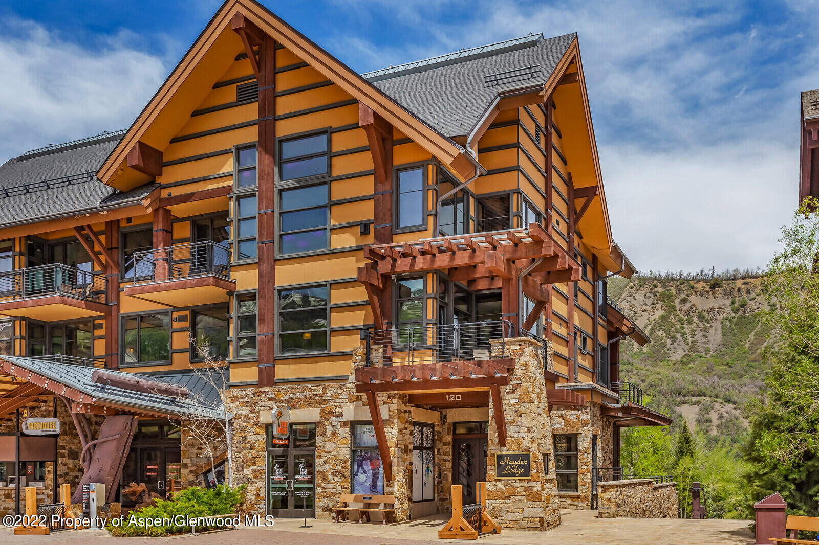 120 Carriage Way Snowmass Village CO 81615
