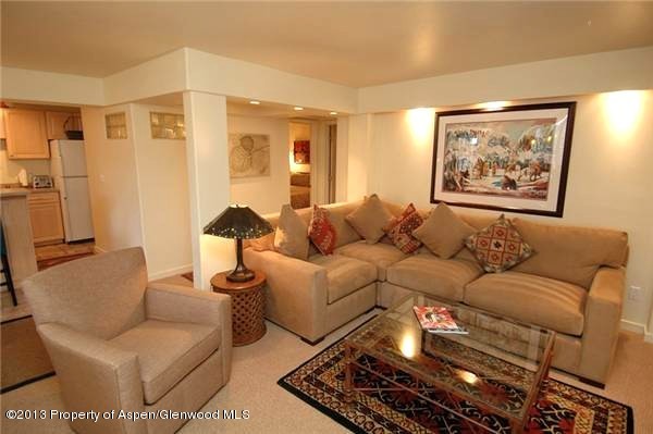 715 E Durant Avenue Aspen CO 81611