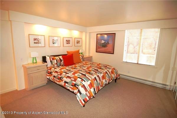 715 E Durant Avenue Aspen CO 81611