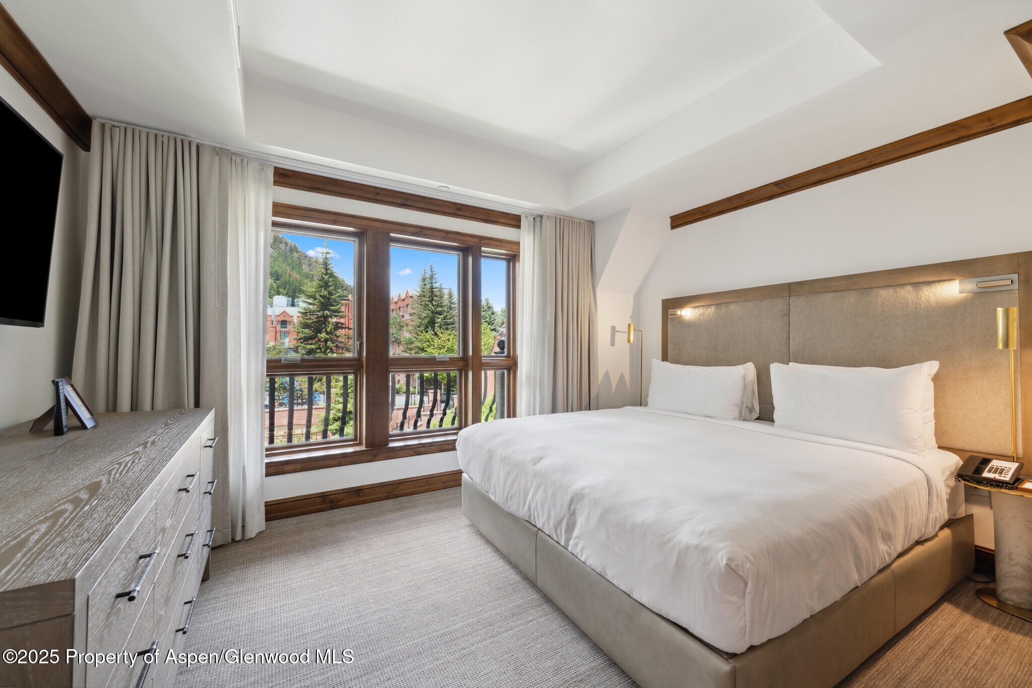 415 E Dean St, Unit 36, Week 33 Aspen CO 81611