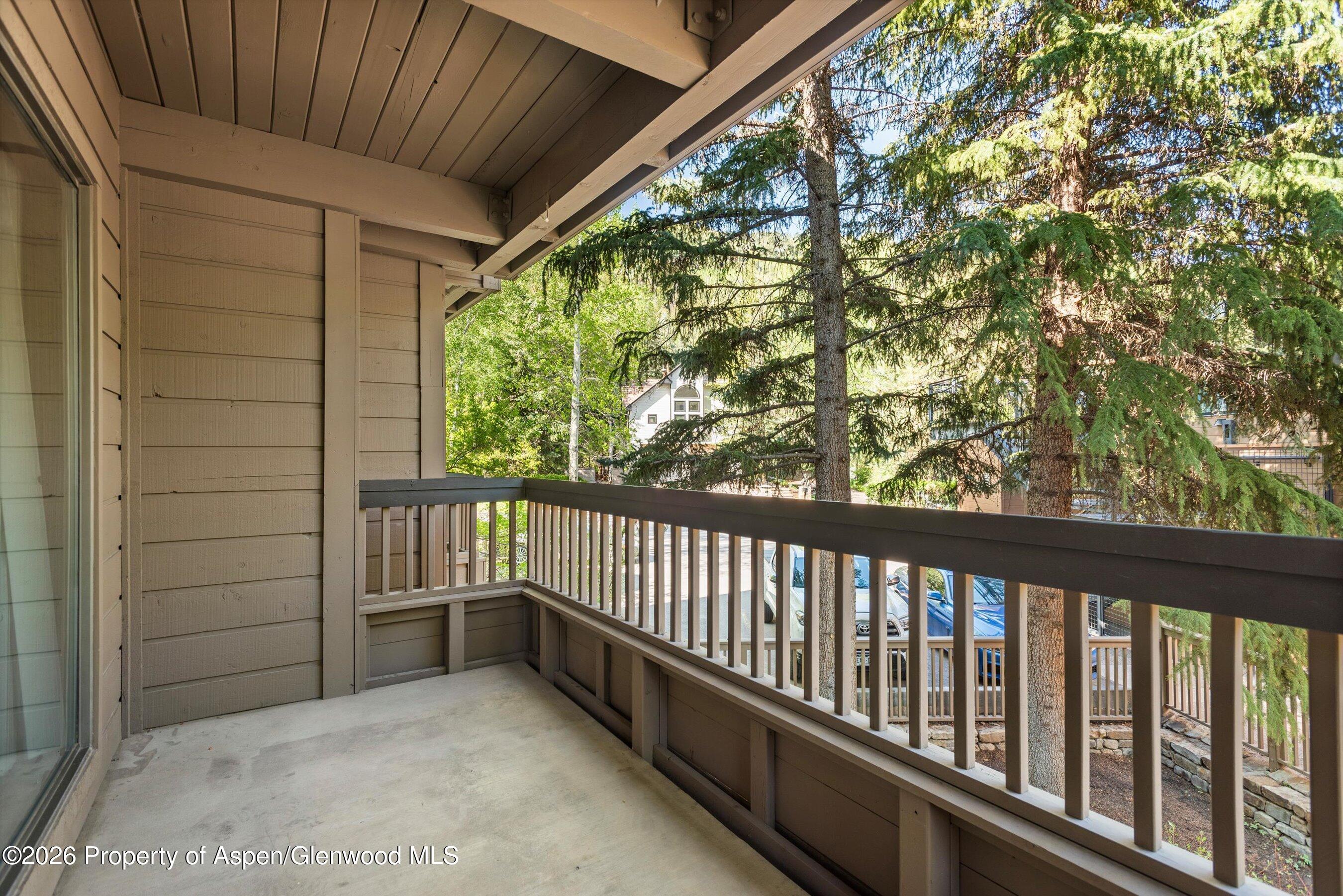 610 S West End Street Aspen CO 81611