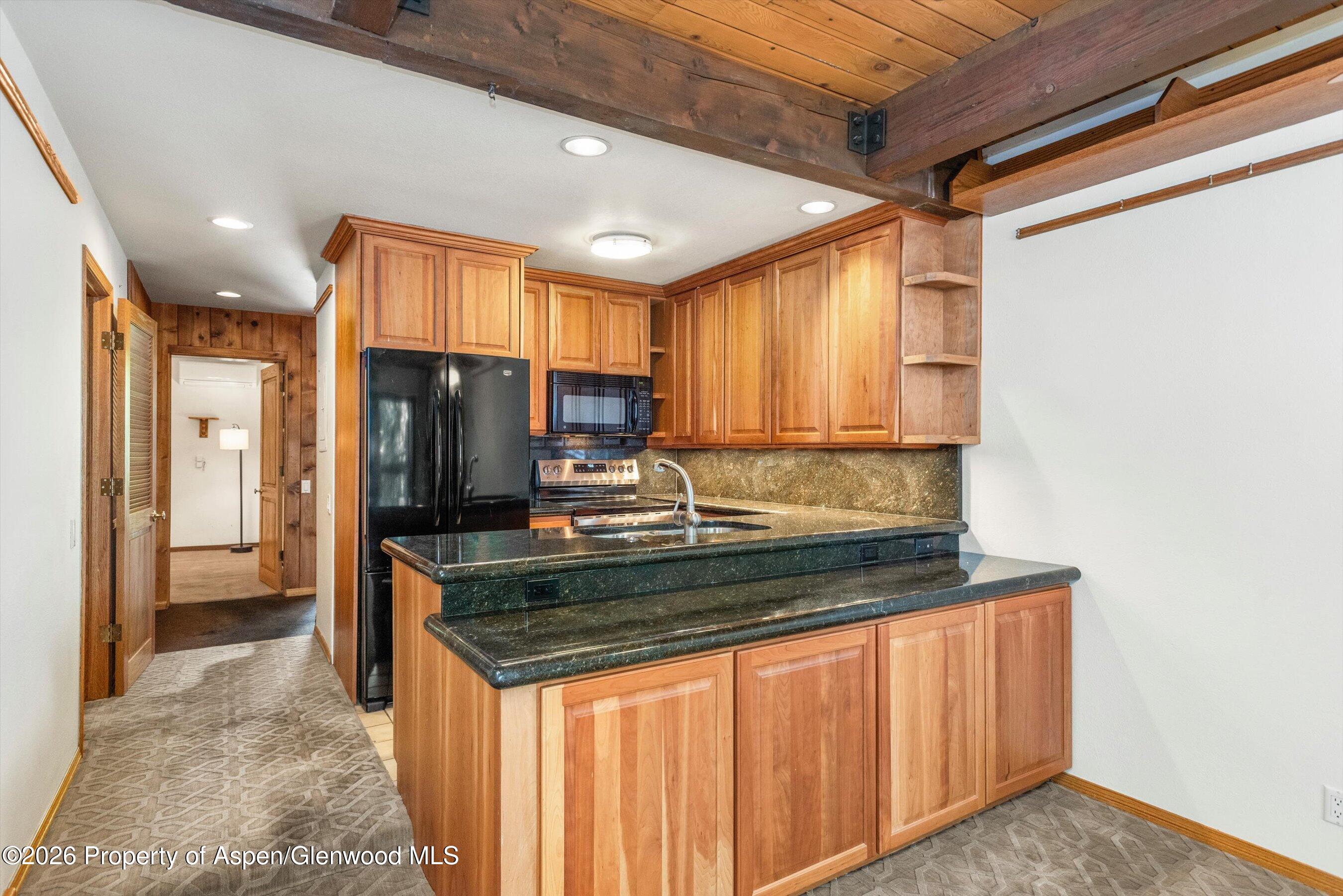 610 S West End Street Aspen CO 81611