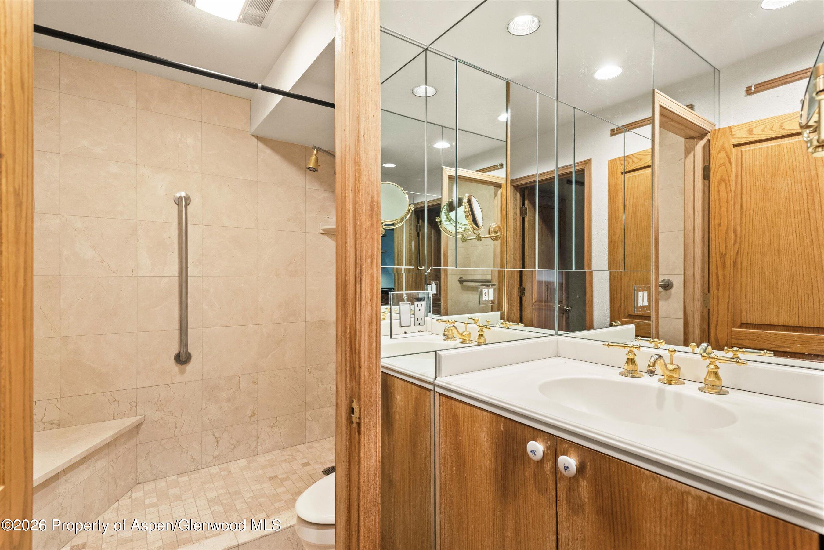 610 S West End Street Aspen CO 81611