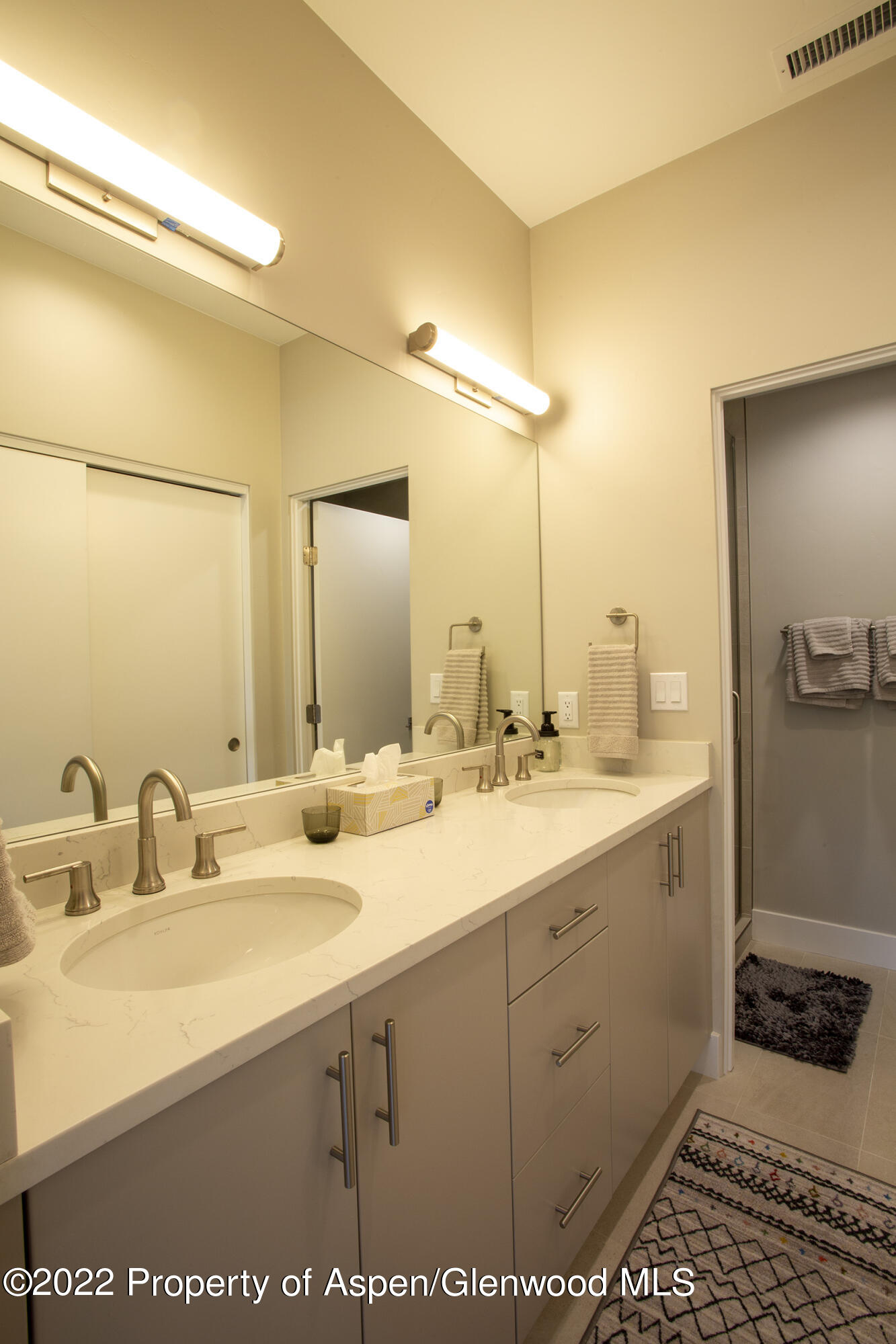 218 Lewies Circle Carbondale CO 81623