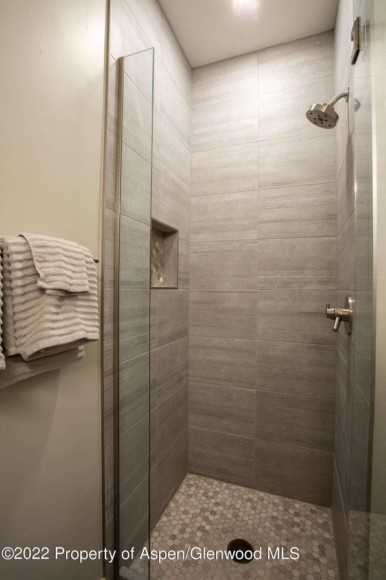218 Lewies Circle Carbondale CO 81623