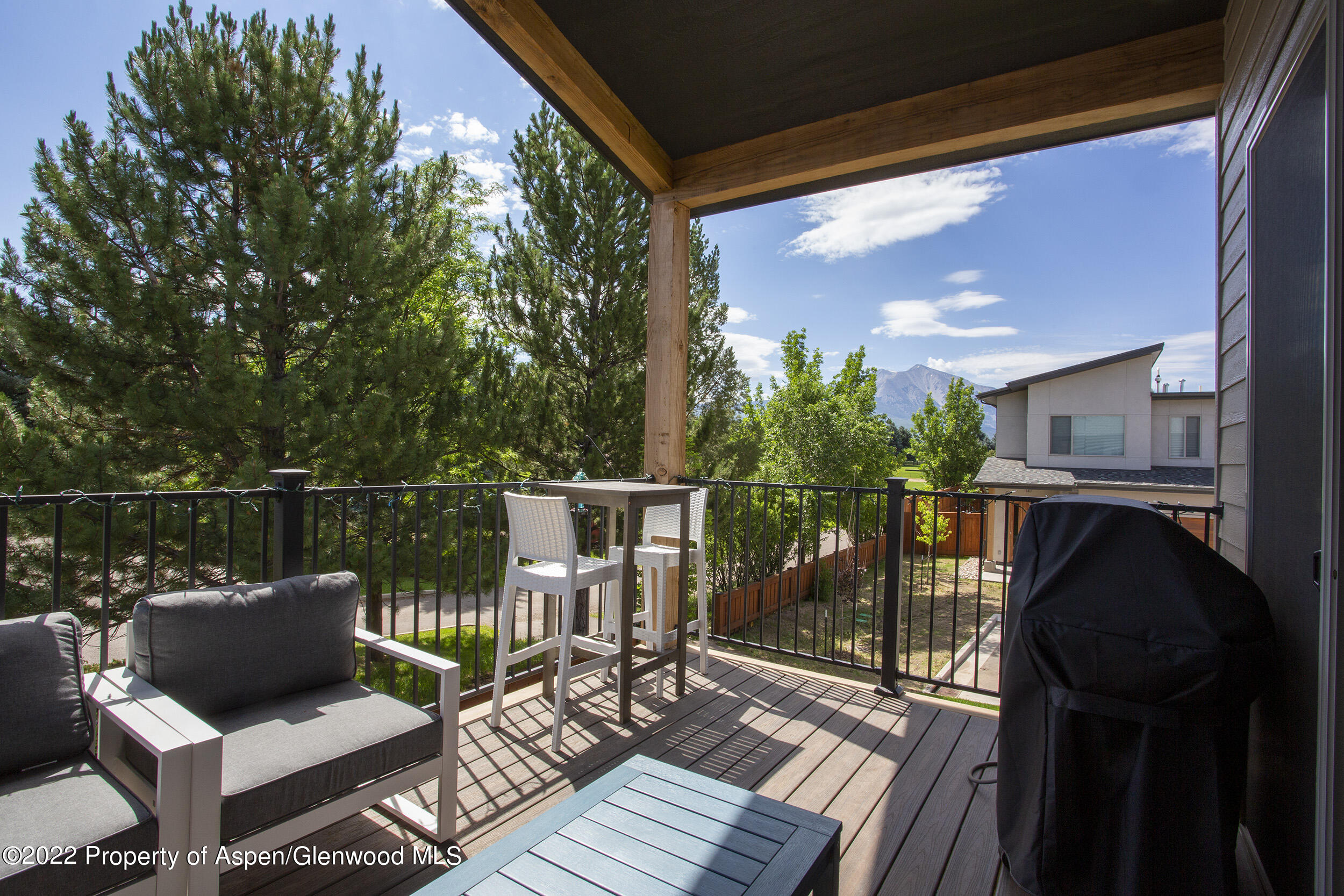 218 Lewies Circle Carbondale CO 81623