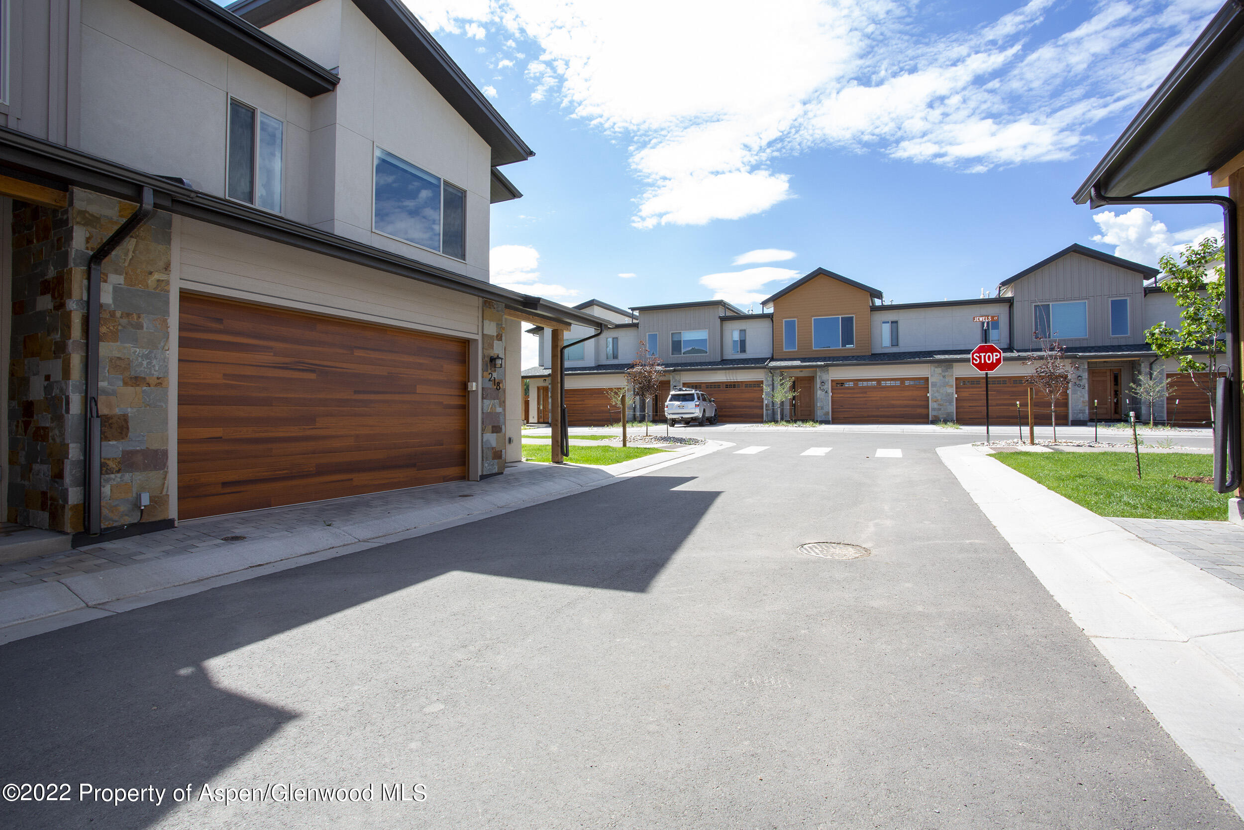 218 Lewies Circle Carbondale CO 81623