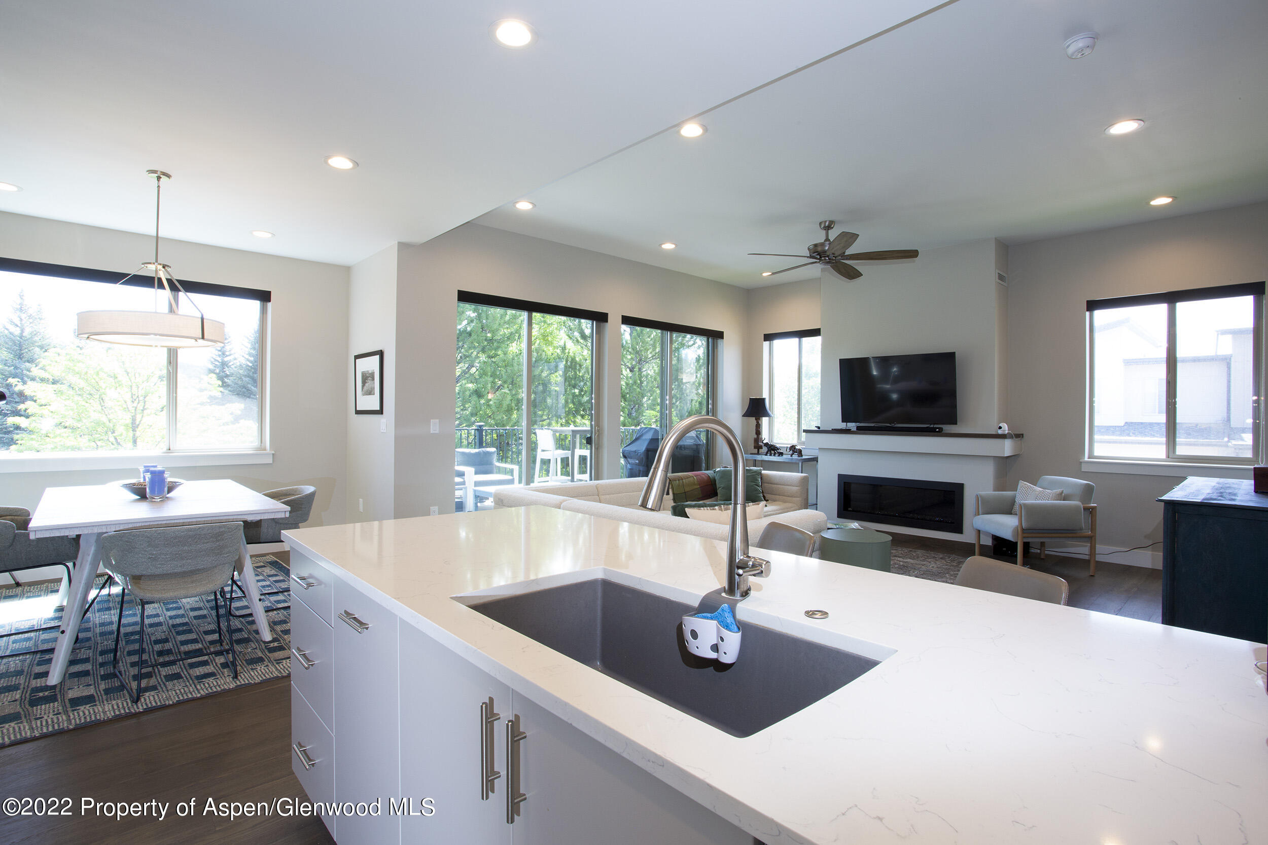218 Lewies Circle Carbondale CO 81623