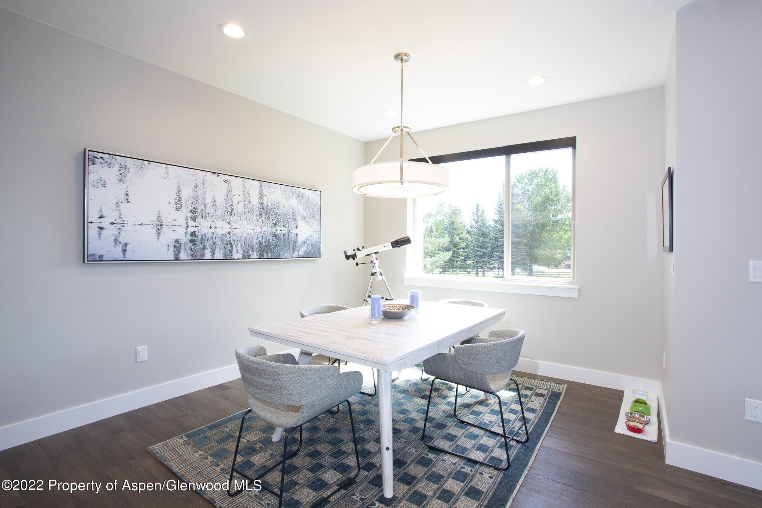 218 Lewies Circle Carbondale CO 81623