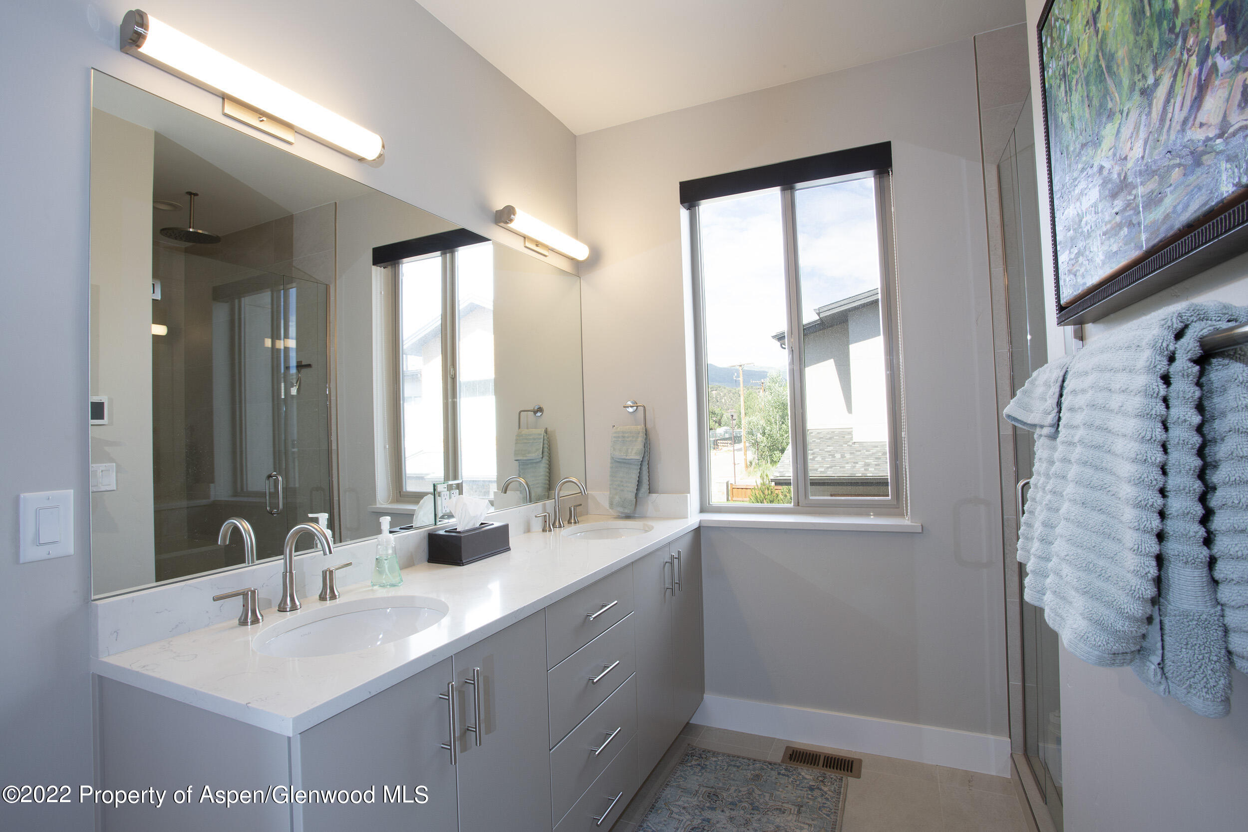 218 Lewies Circle Carbondale CO 81623