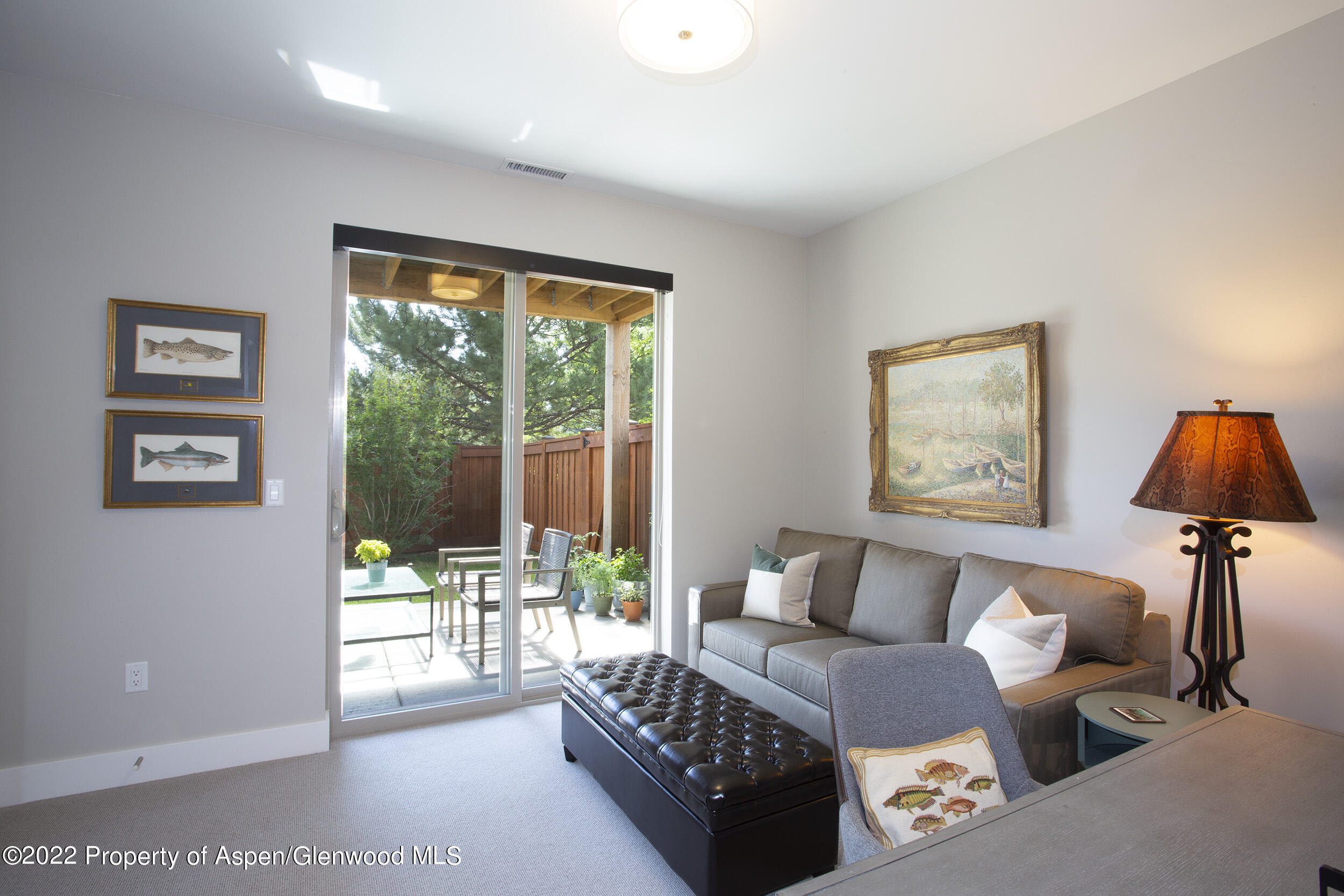 218 Lewies Circle Carbondale CO 81623