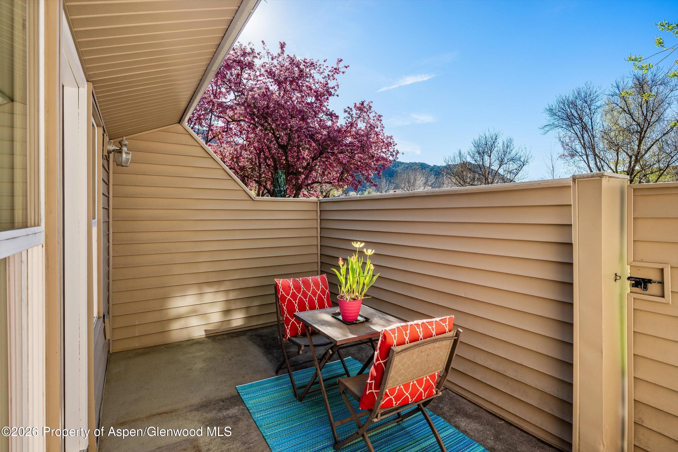 1329 Pitkin Avenue Glenwood Springs CO 81601