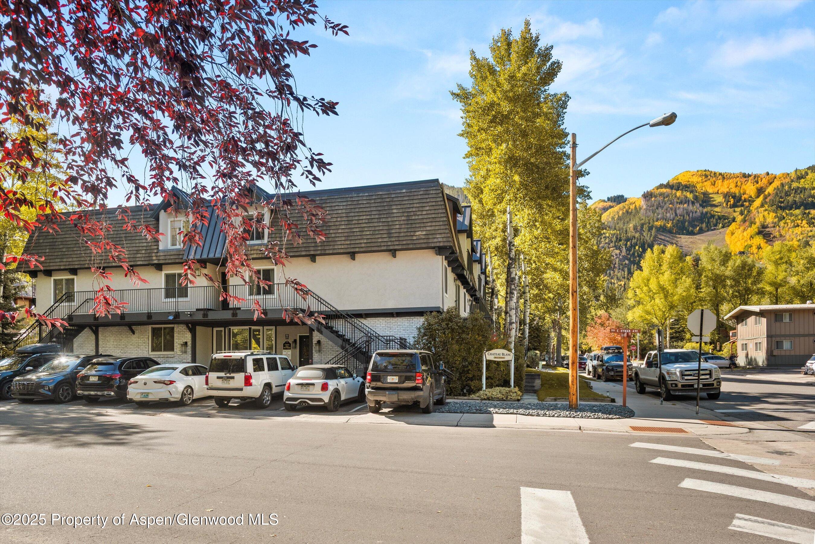 901 E Hyman Avenue Aspen CO 81611