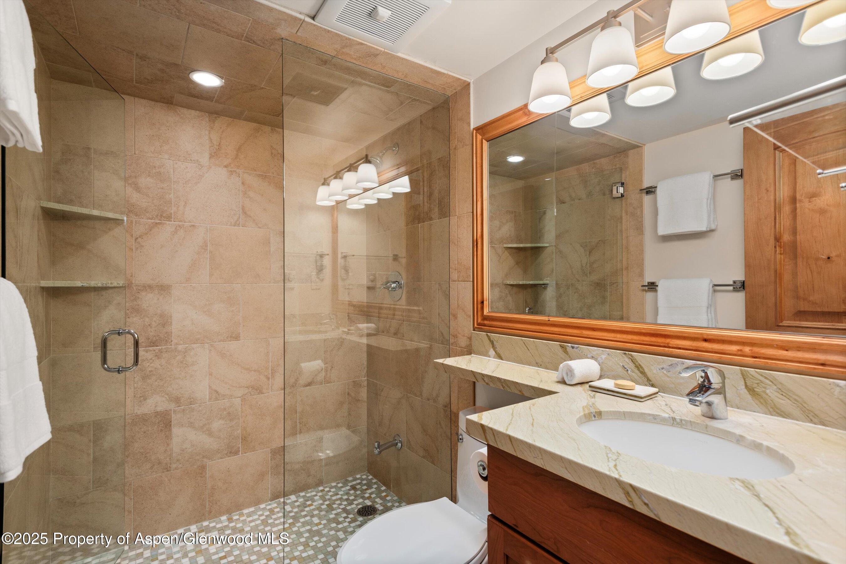 901 E Hyman Avenue Aspen CO 81611