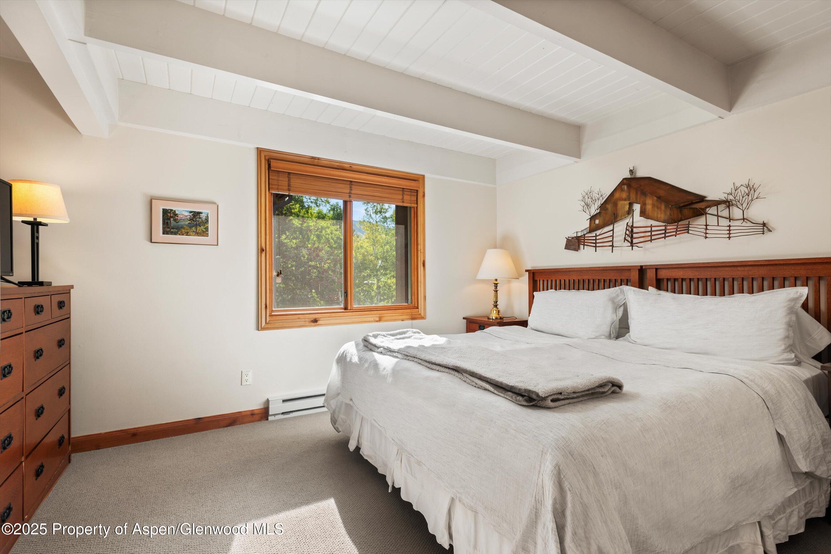 901 E Hyman Avenue Aspen CO 81611