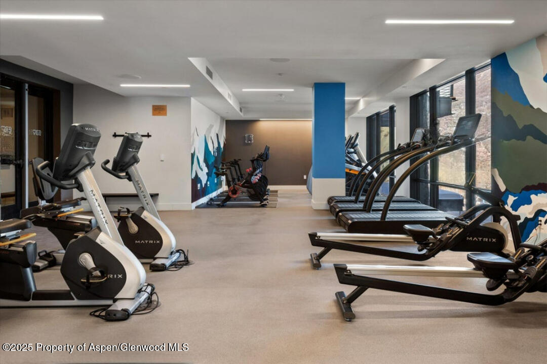 45 Wood Road Snowmass Village CO 81615