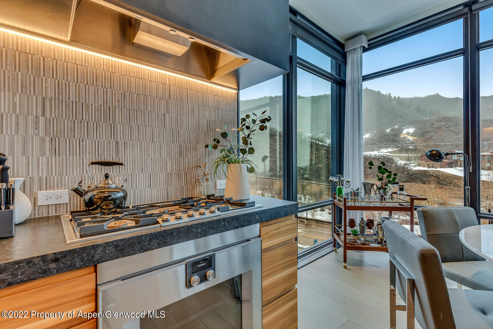 45 Wood Road Snowmass Village CO 81615