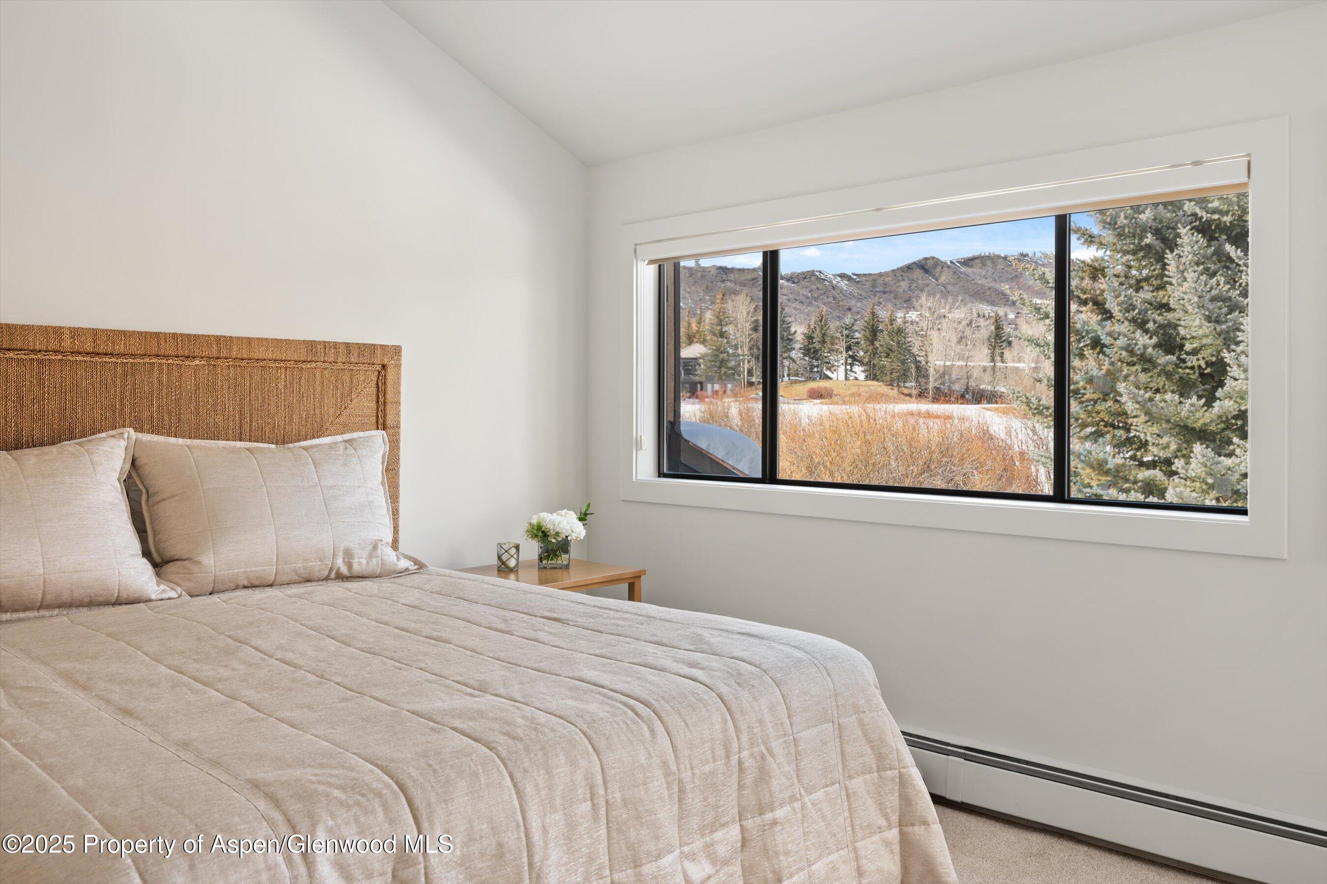 115 Harleston Green Snowmass Village CO 81615