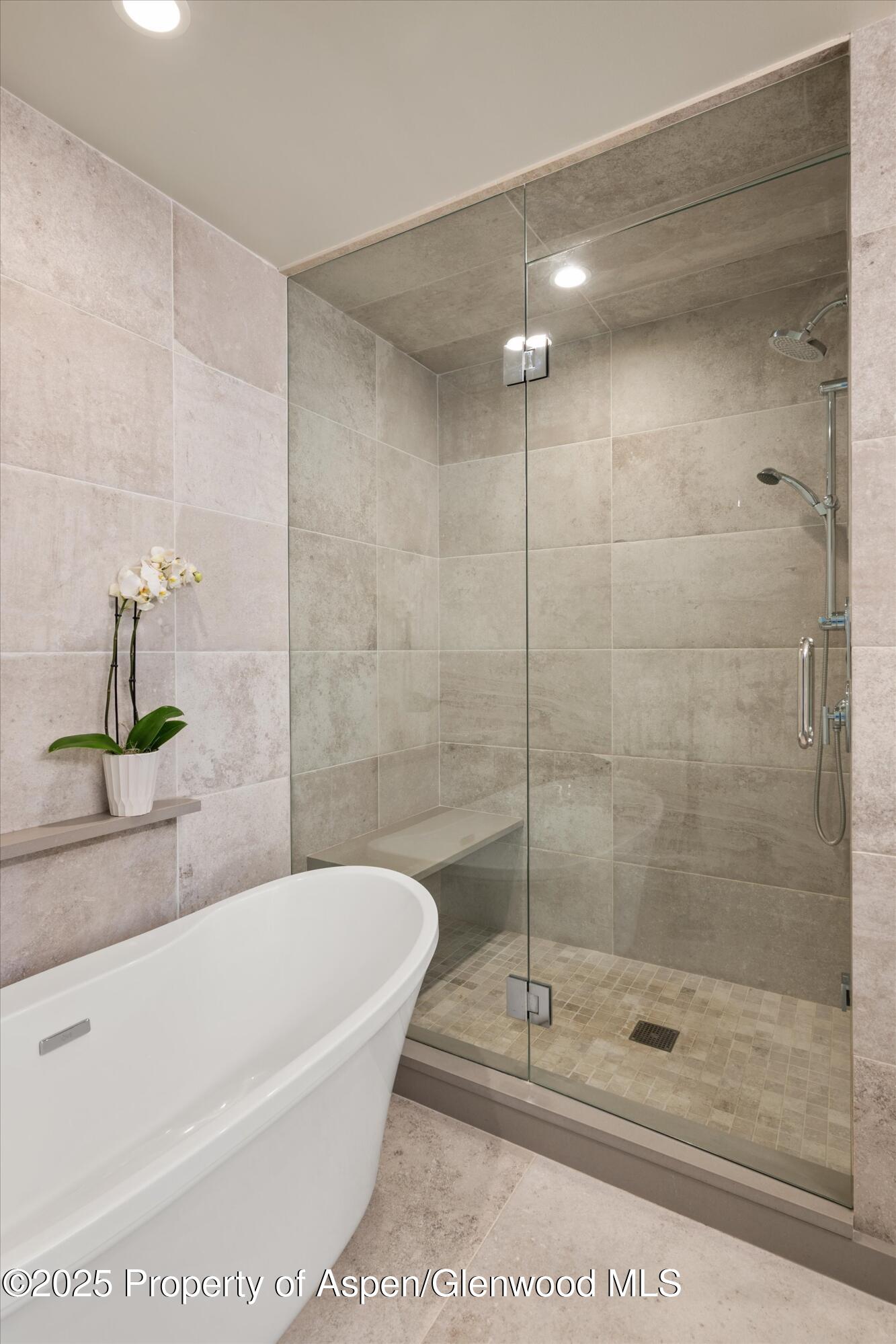 115 Harleston Green Snowmass Village CO 81615