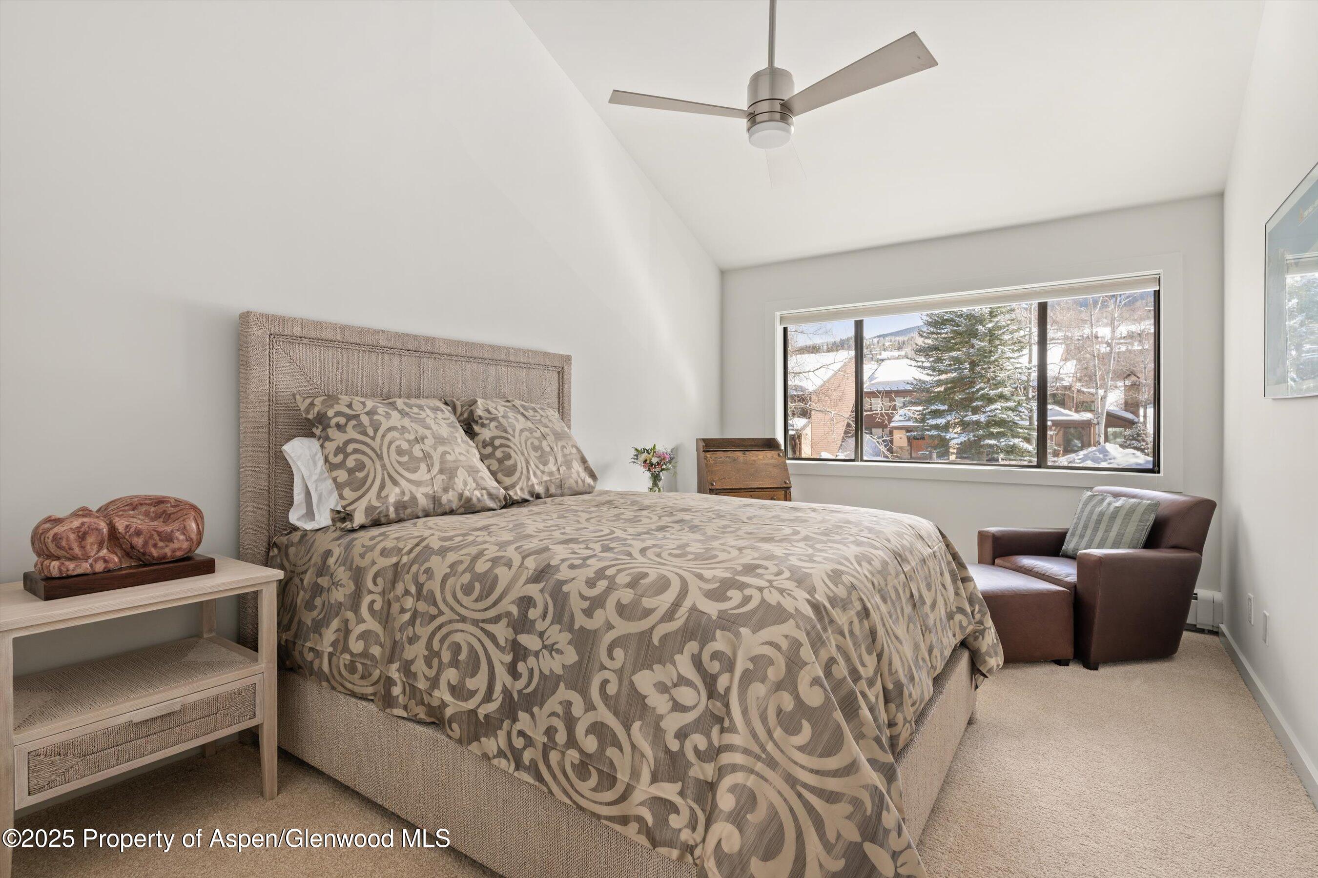 115 Harleston Green Snowmass Village CO 81615