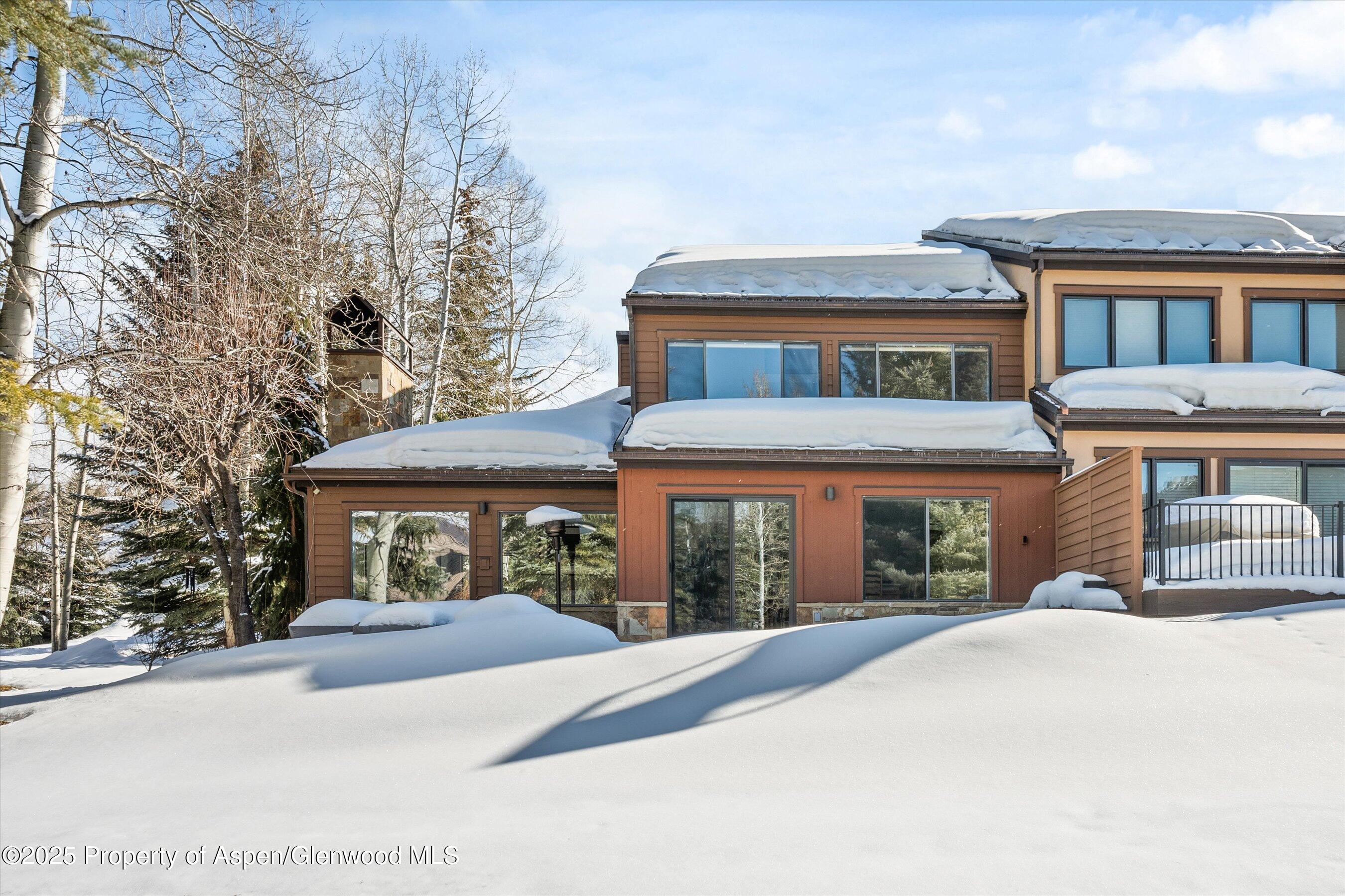 115 Harleston Green Snowmass Village CO 81615