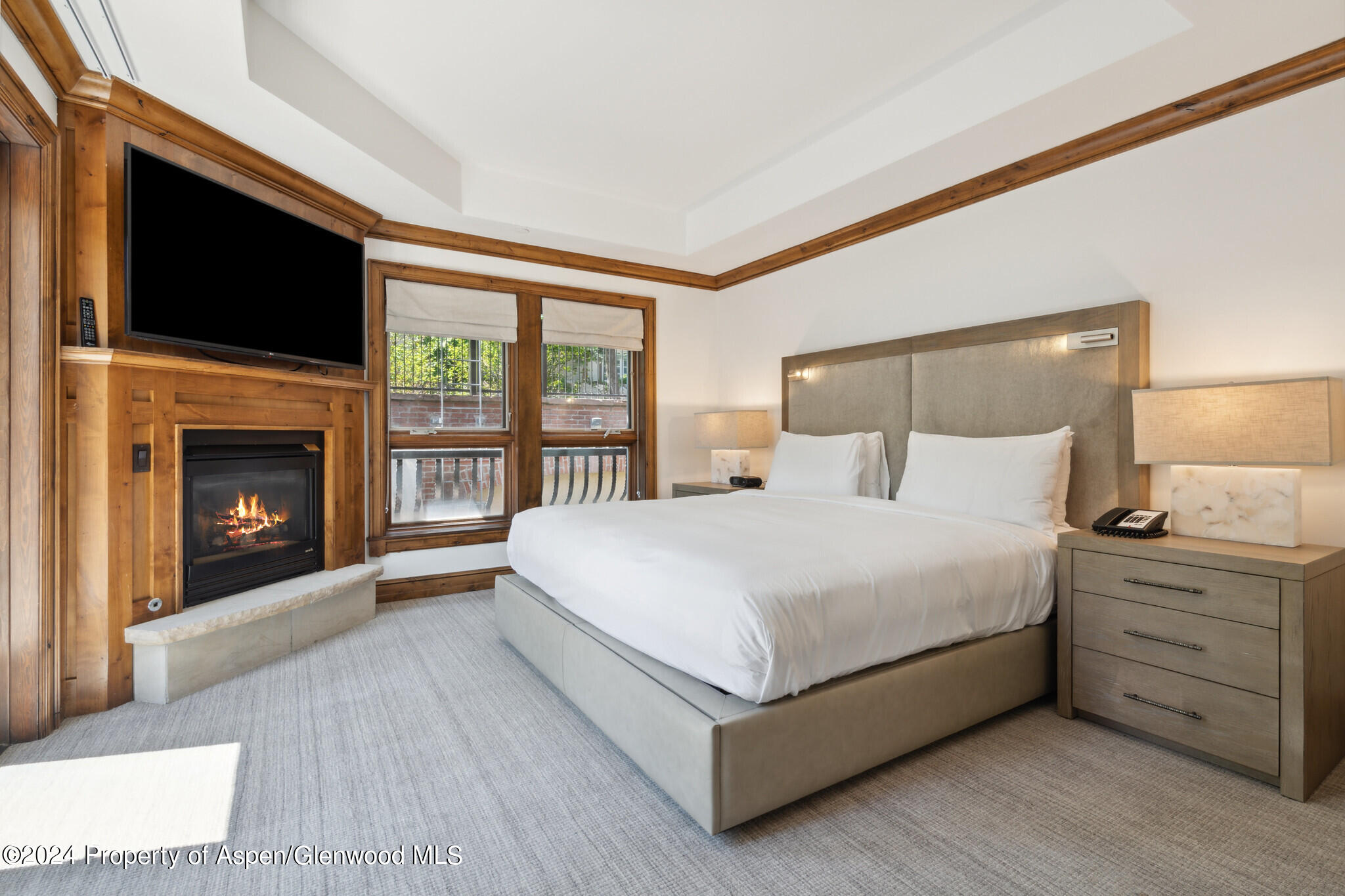 415 E Dean St, Unit 44b, Week 5 Aspen CO 81611