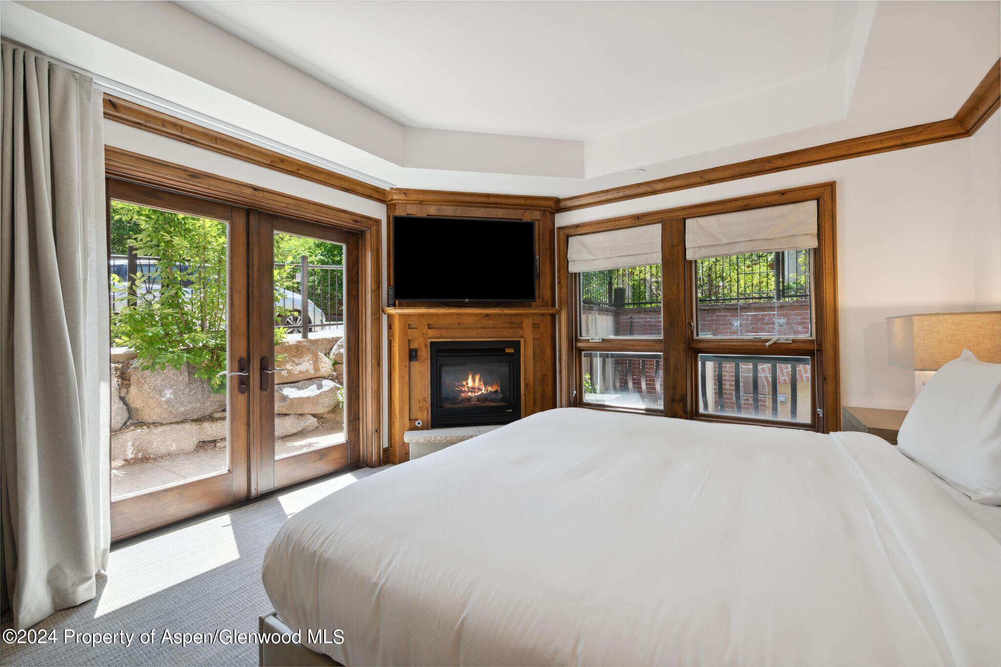 415 E Dean St, Unit 44b, Week 5 Aspen CO 81611